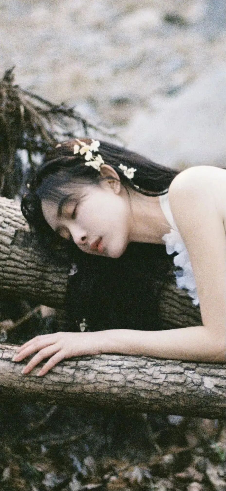 爱豆
