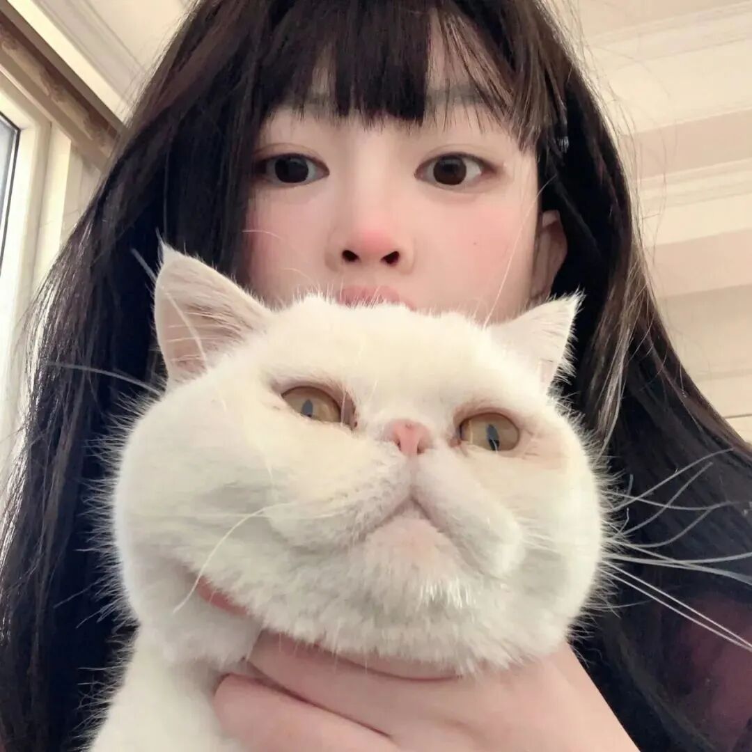 抱着猫咪甜妹女生头像