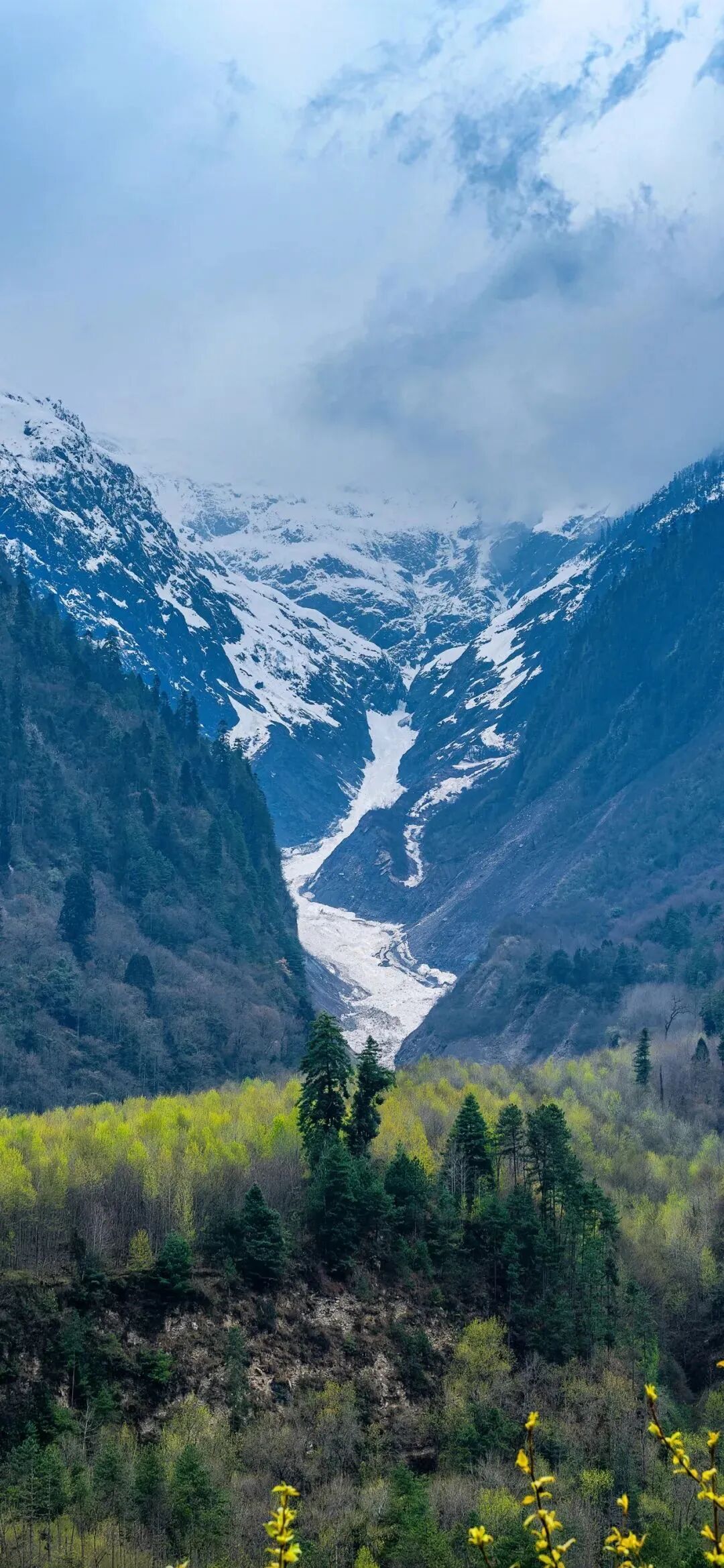 风景