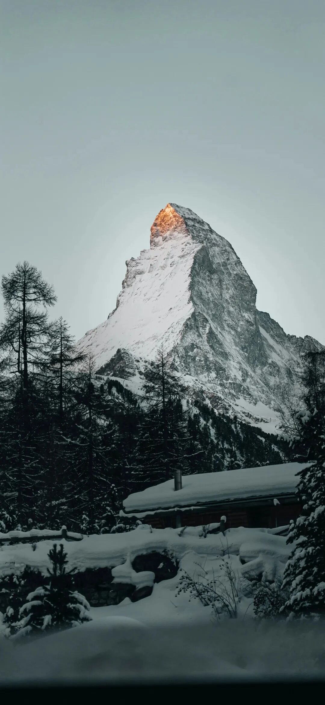 风景