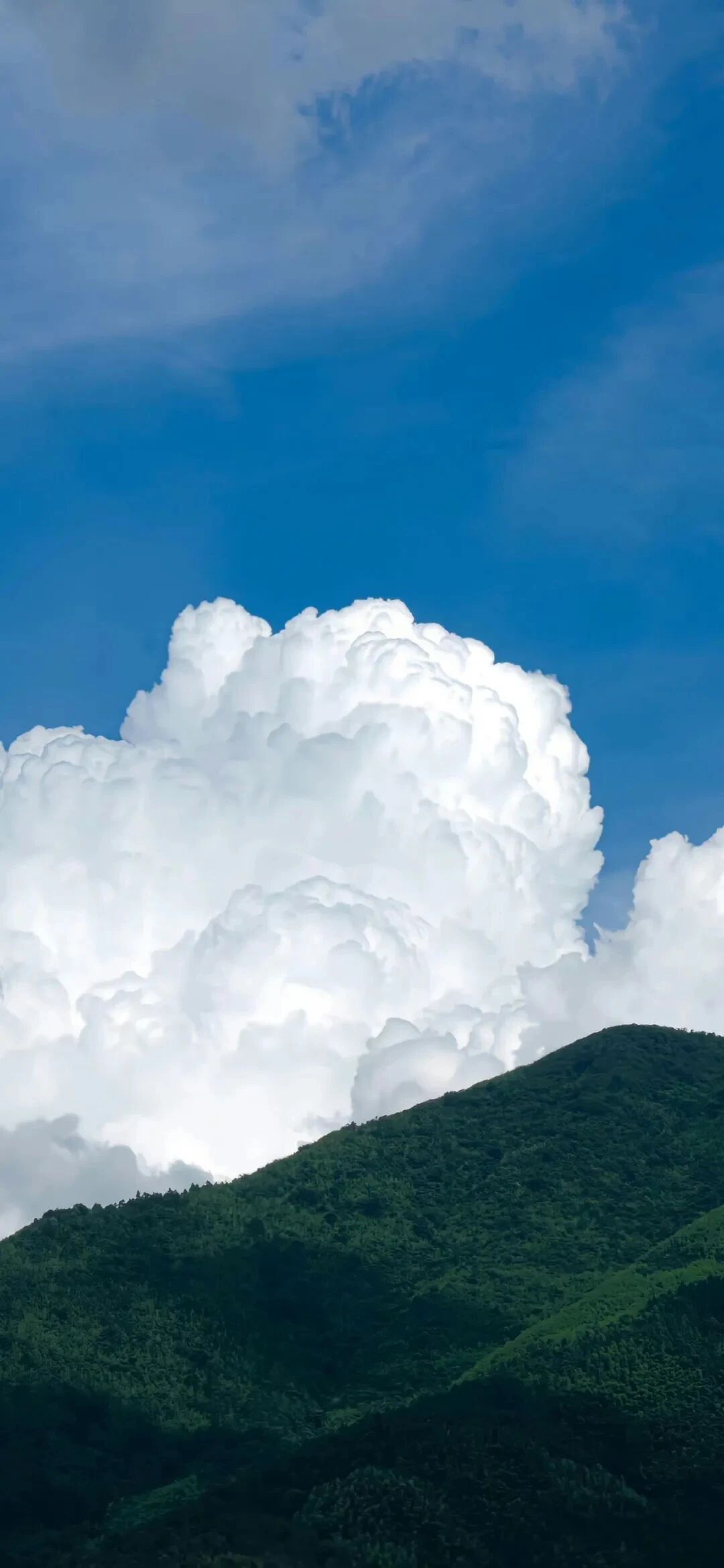 风景