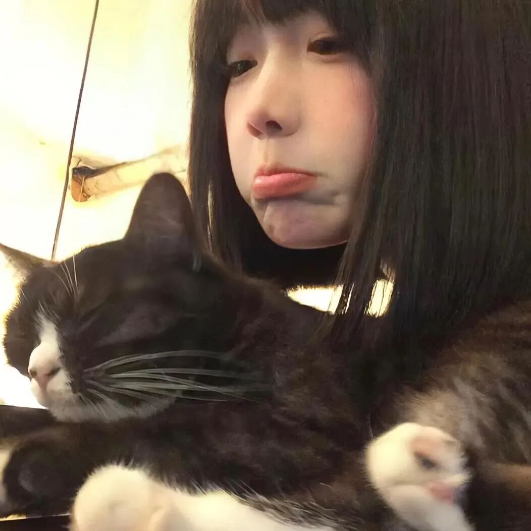 抱着猫咪甜妹女生头像