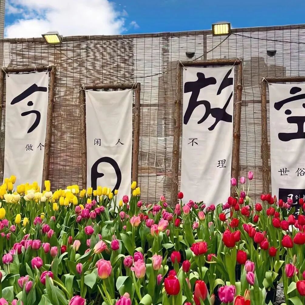 春天文字背景图