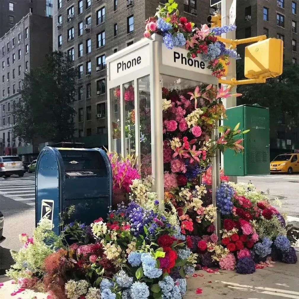 鲜花背景图