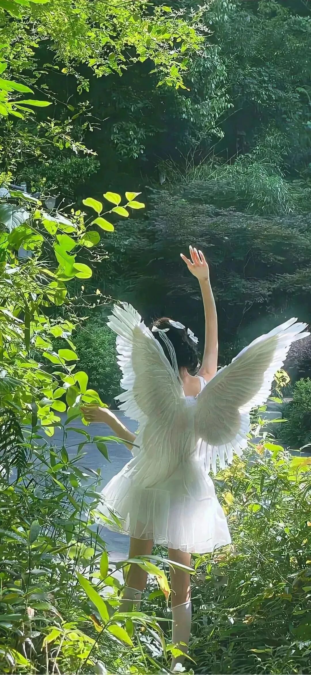 抖音热门