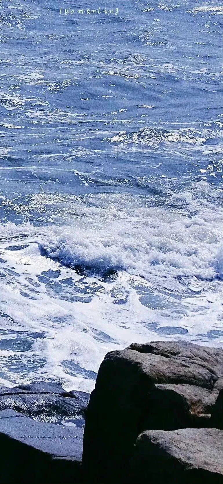 风景