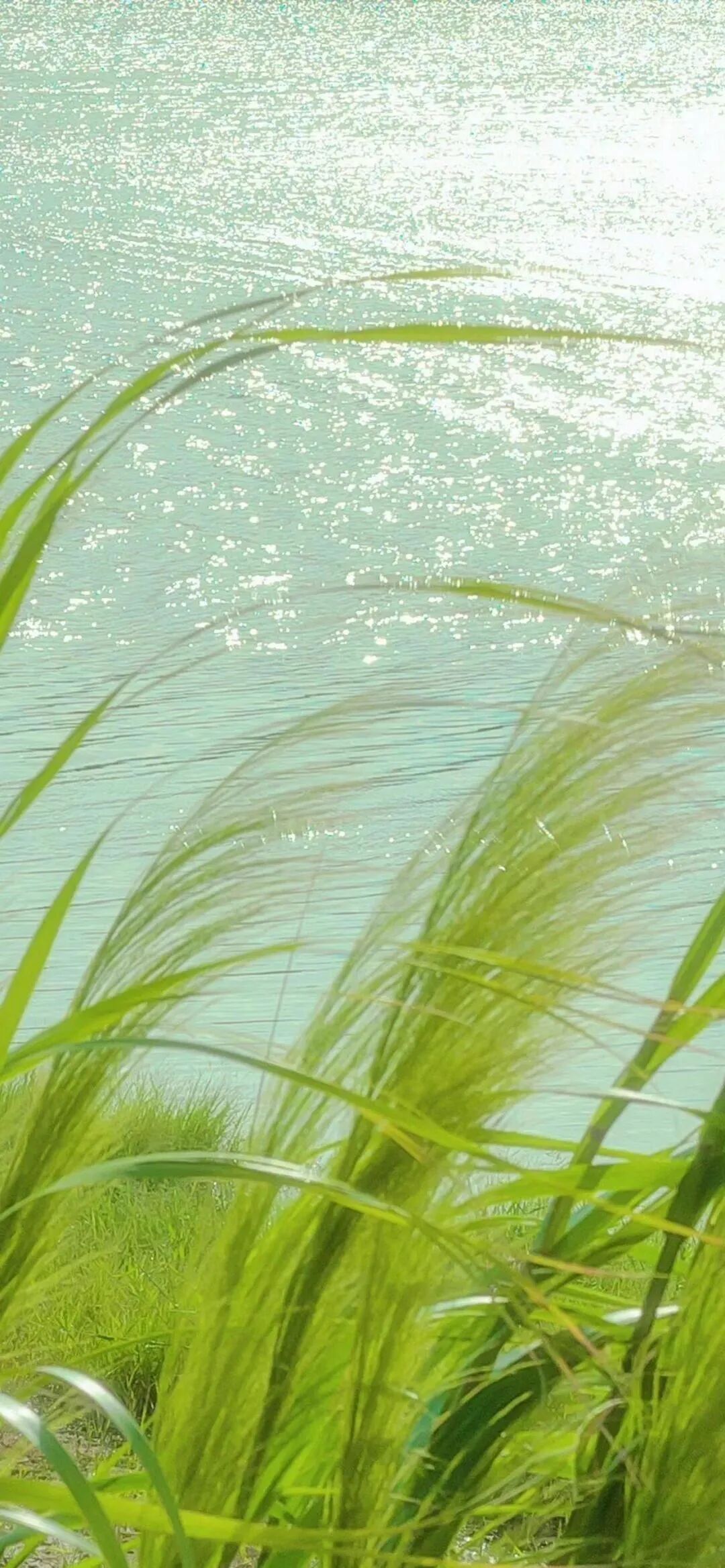 风景