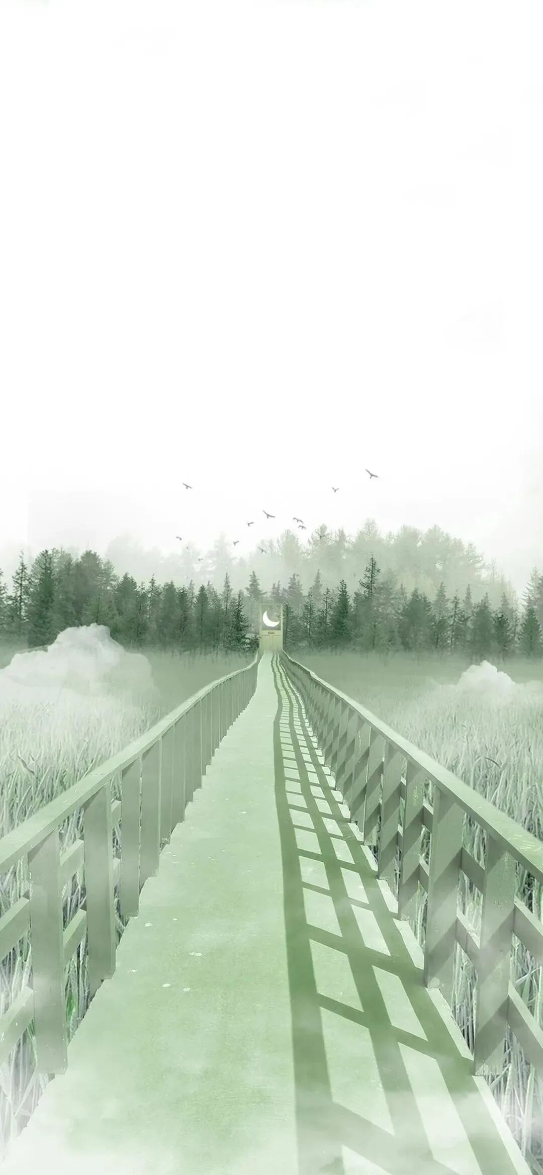 风景