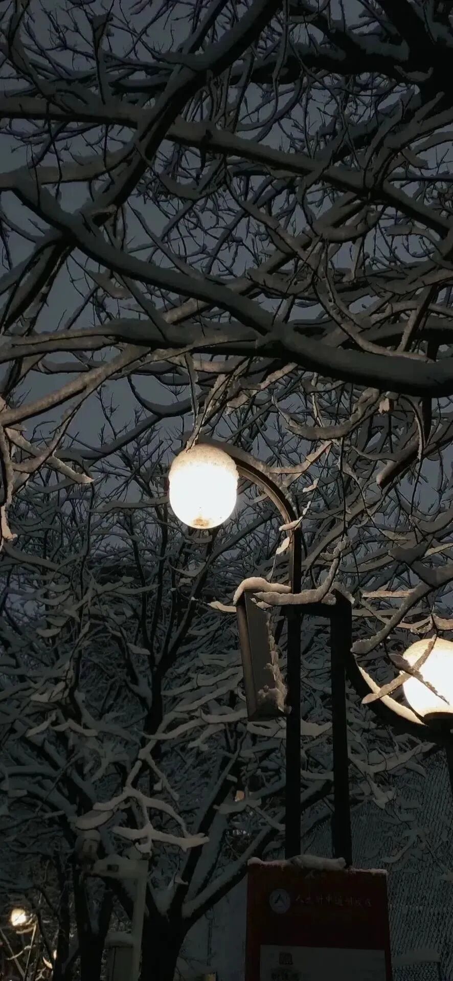 风景