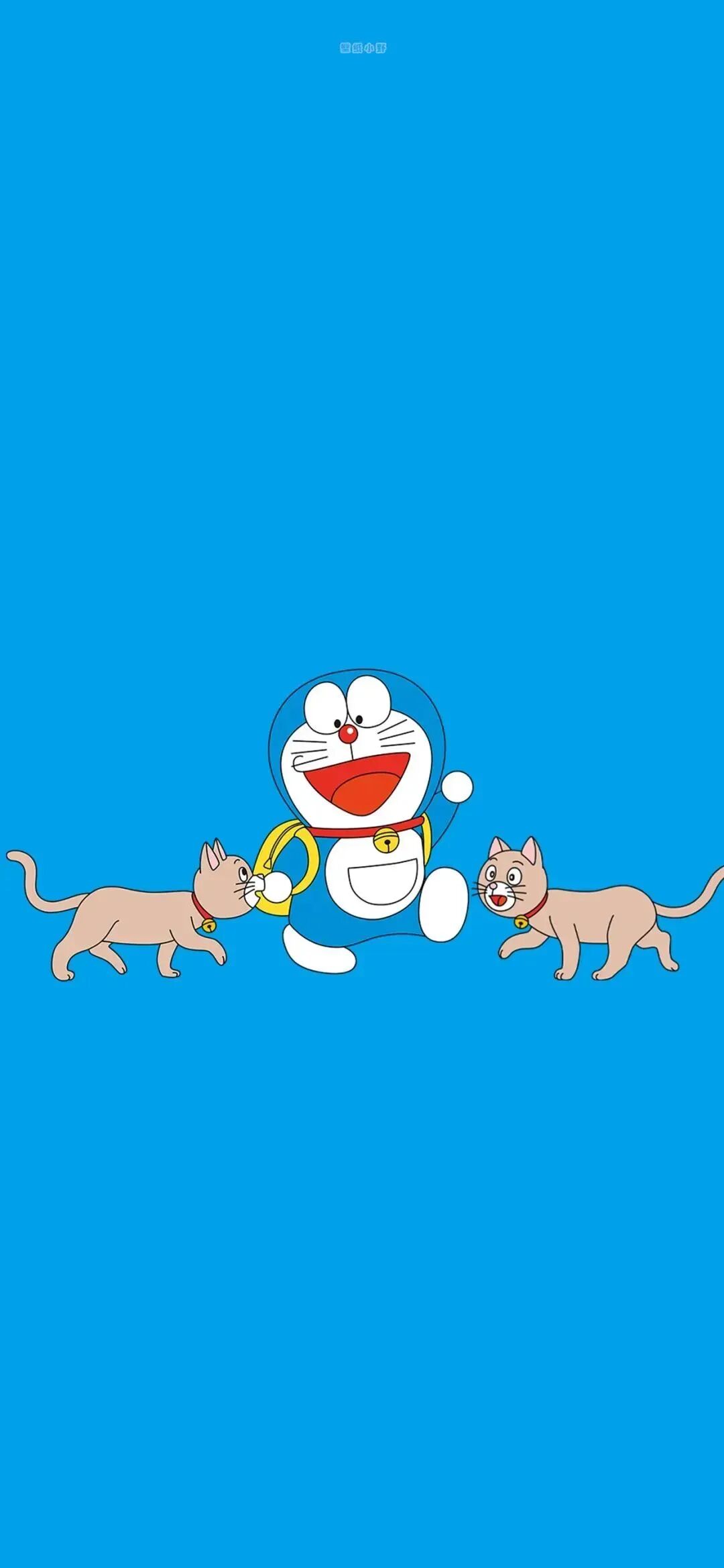 动漫