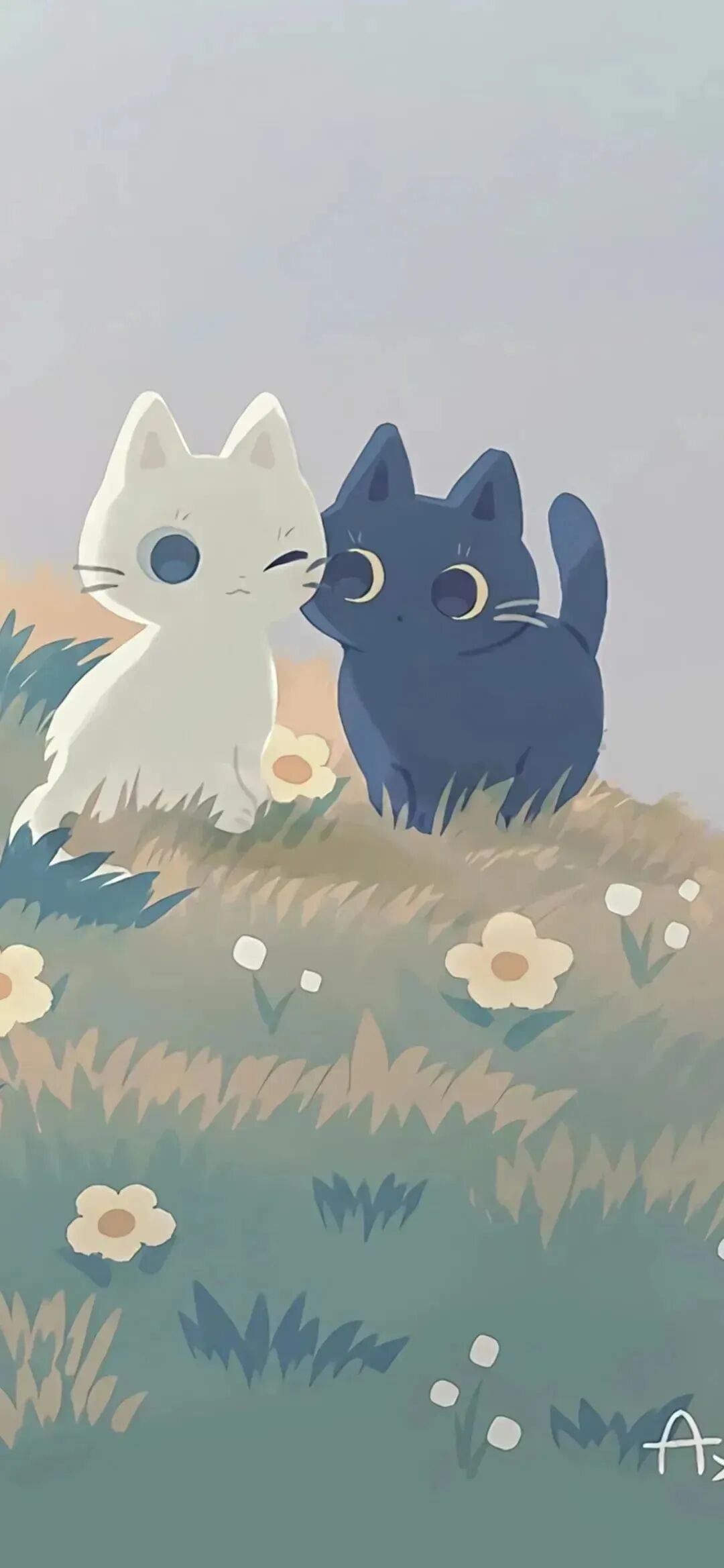 动漫