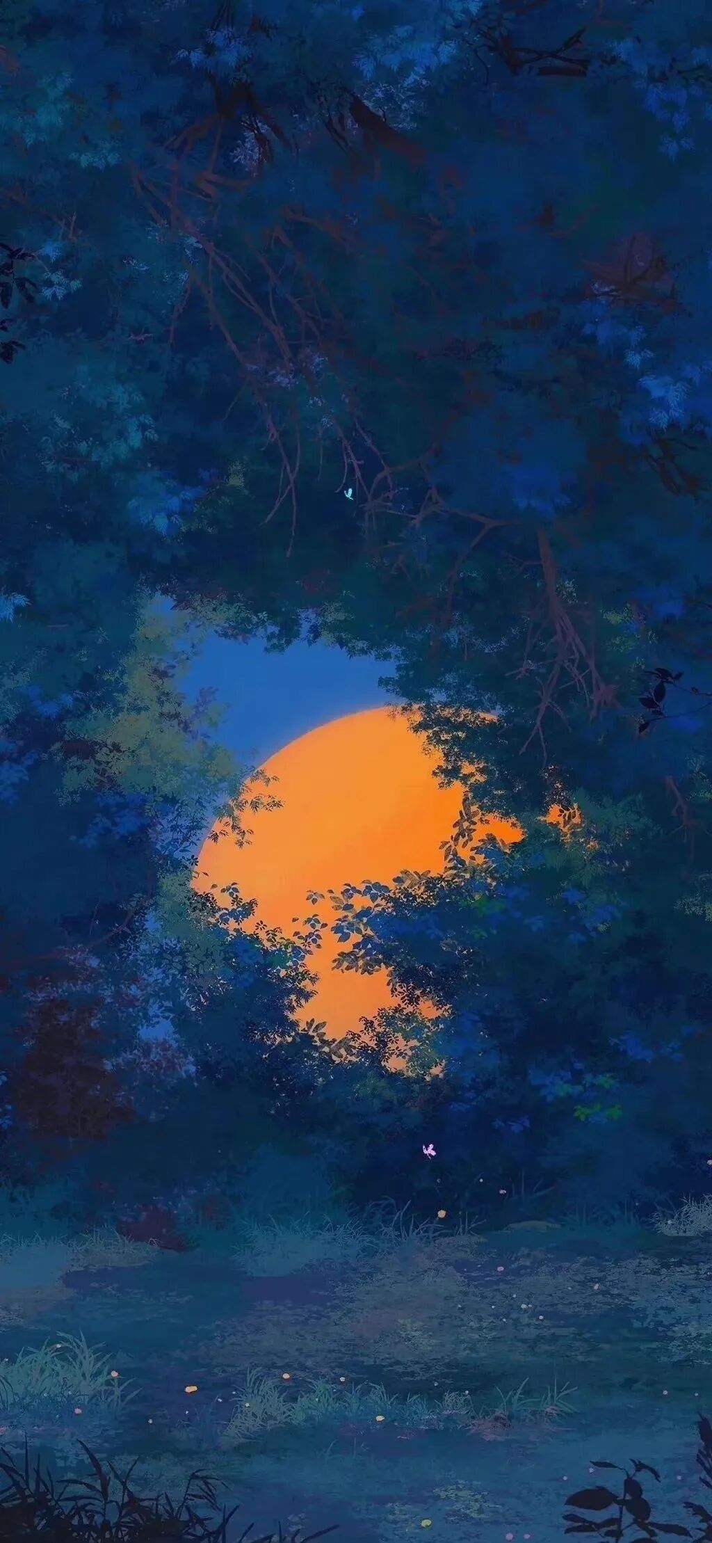 风景