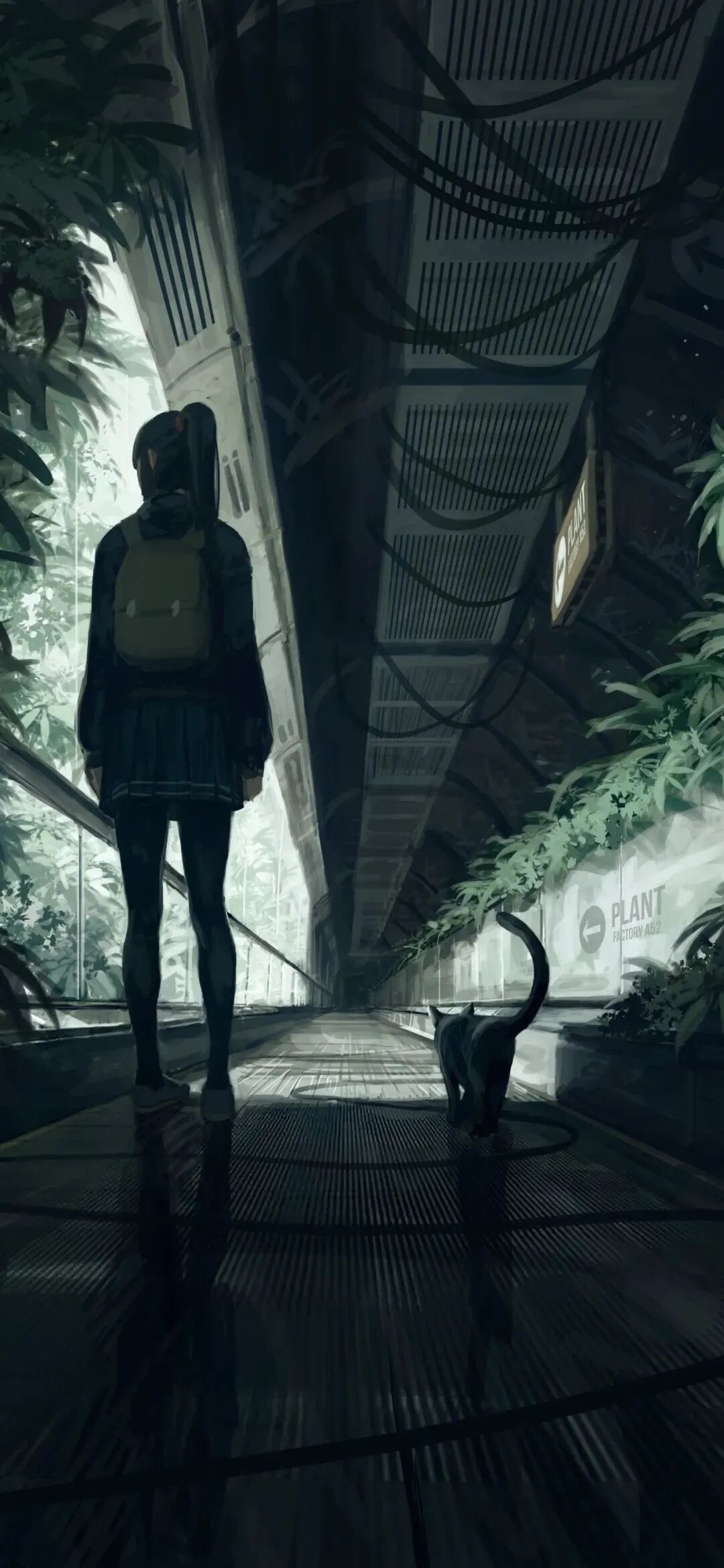 动漫