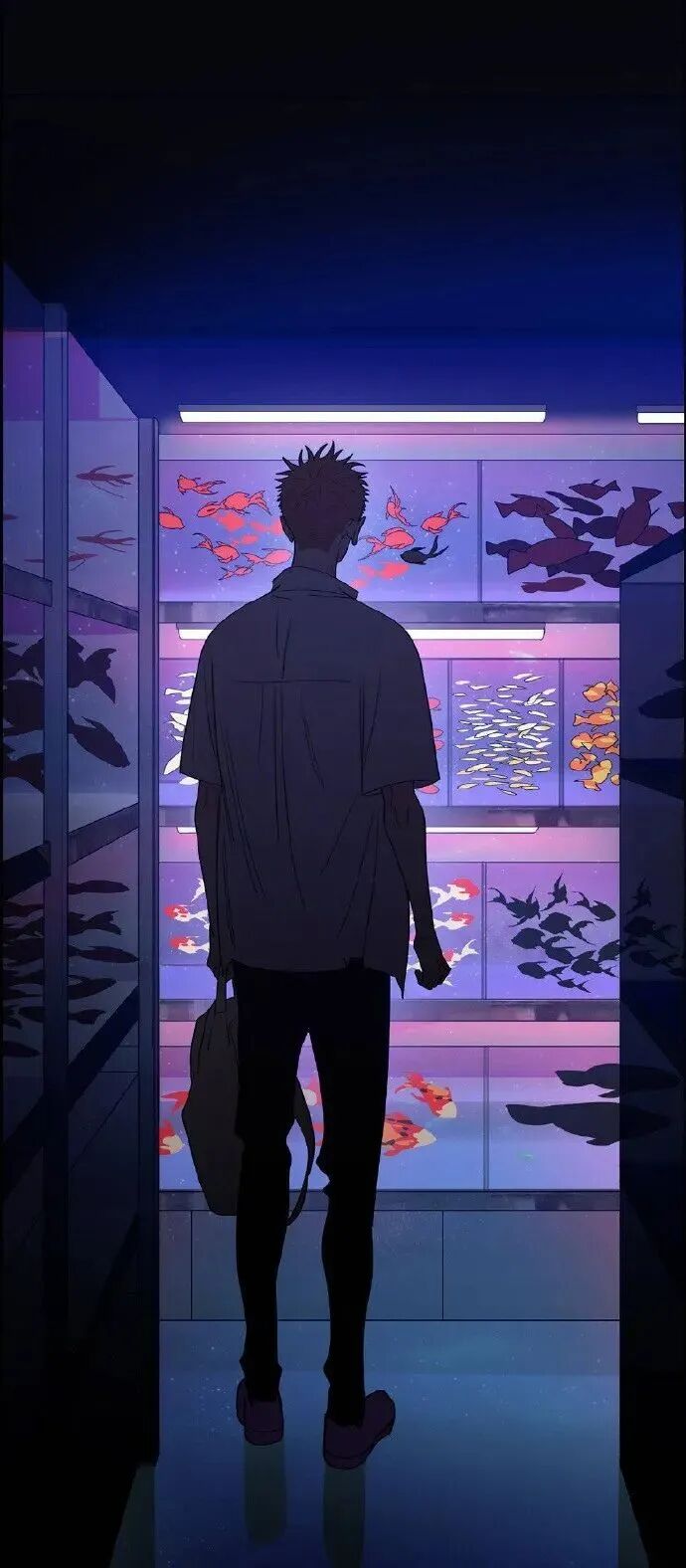 动漫