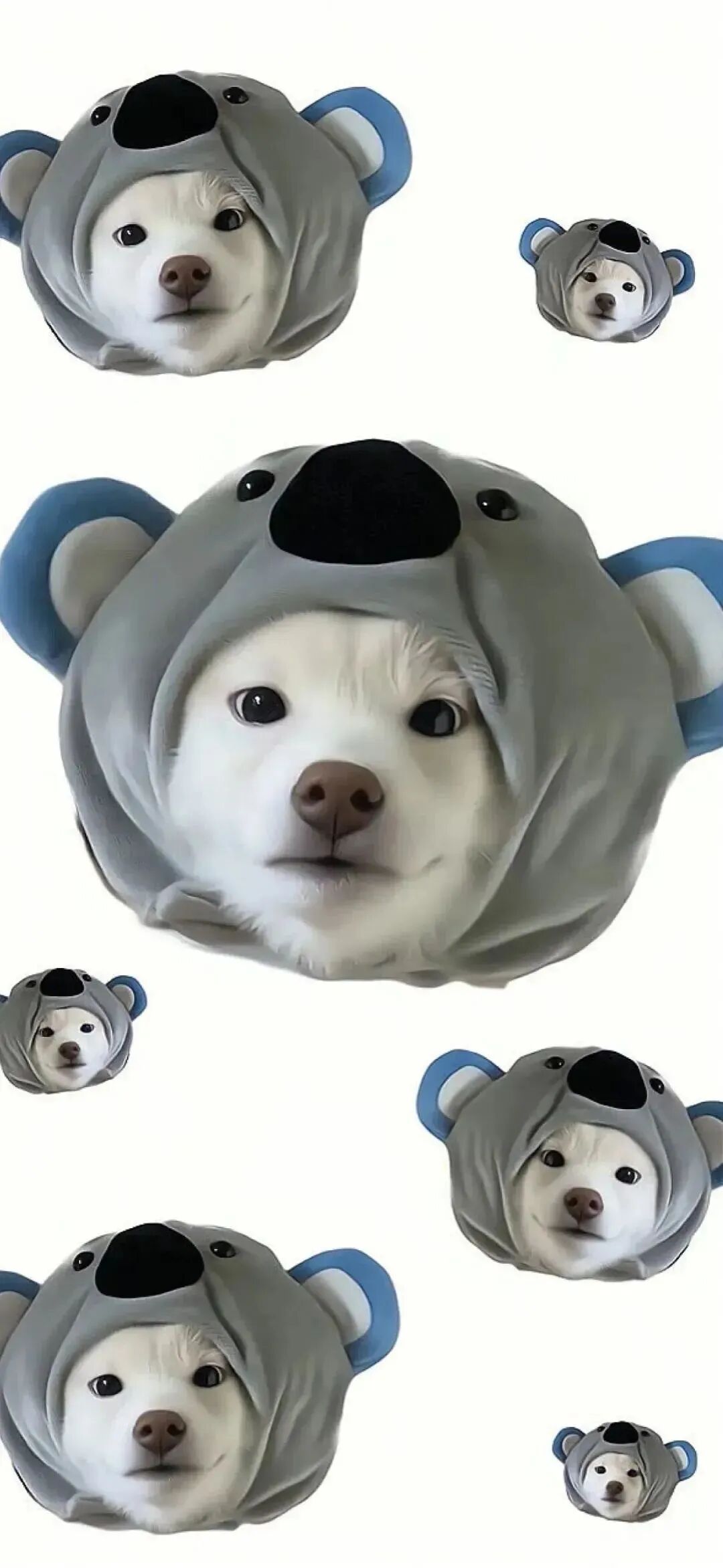 可爱狗狗白底平铺壁纸