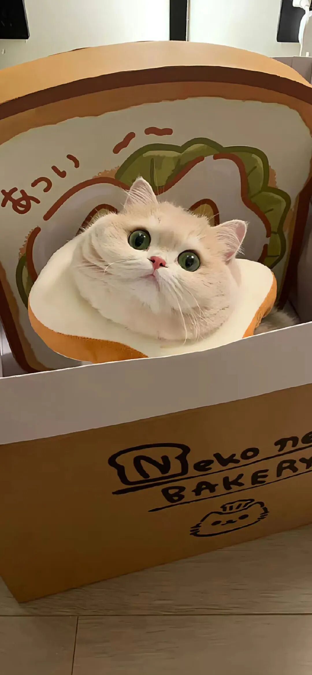可爱猫咪壁纸