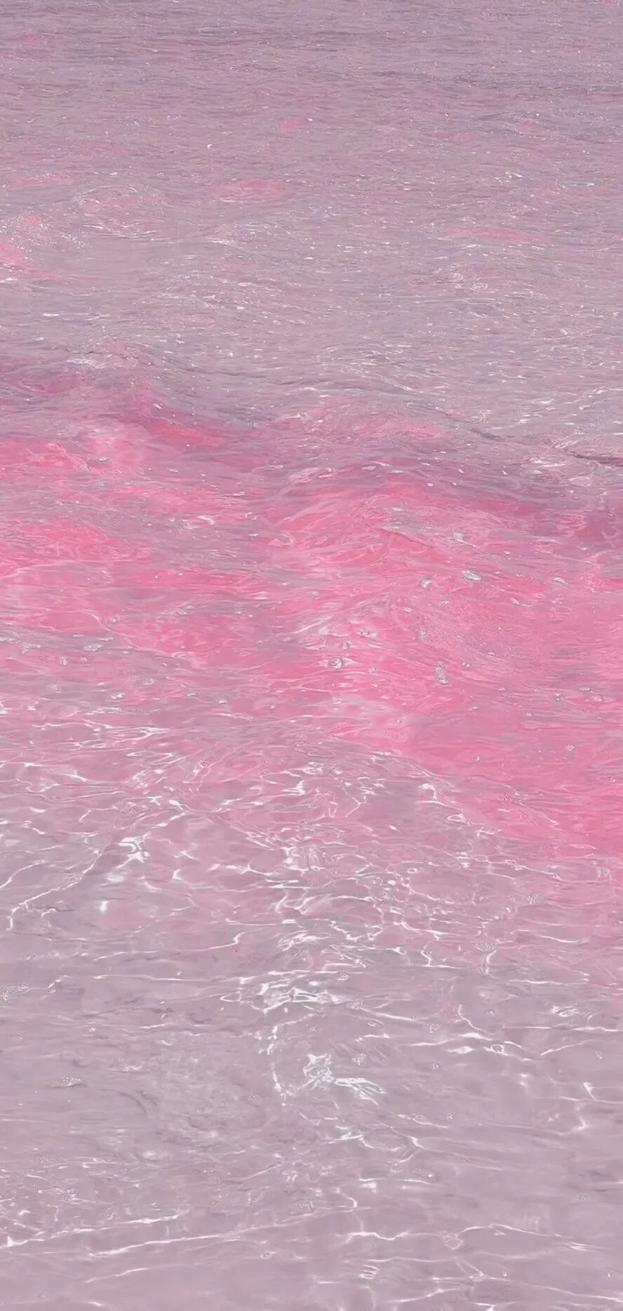 什锦