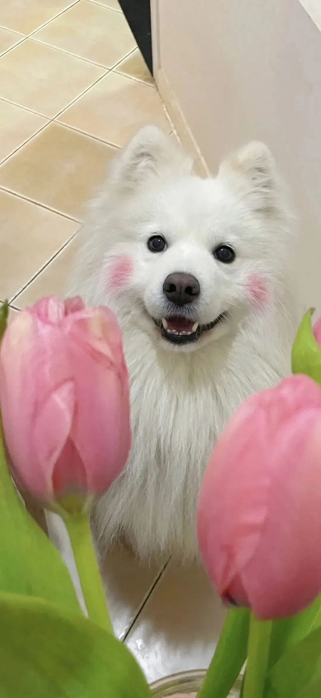 什锦