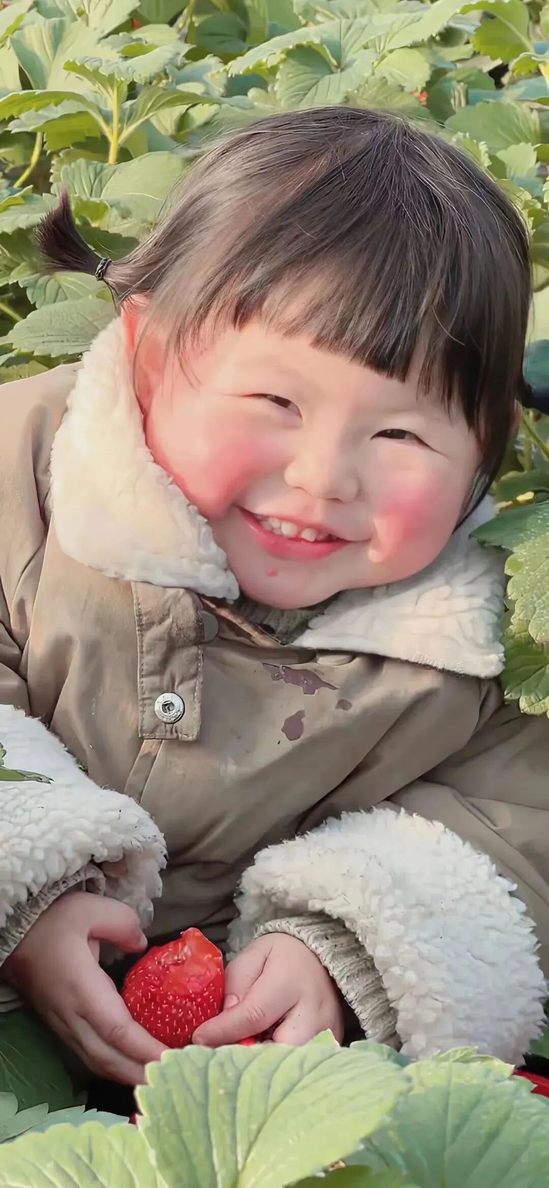 可爱瑶一瑶壁纸