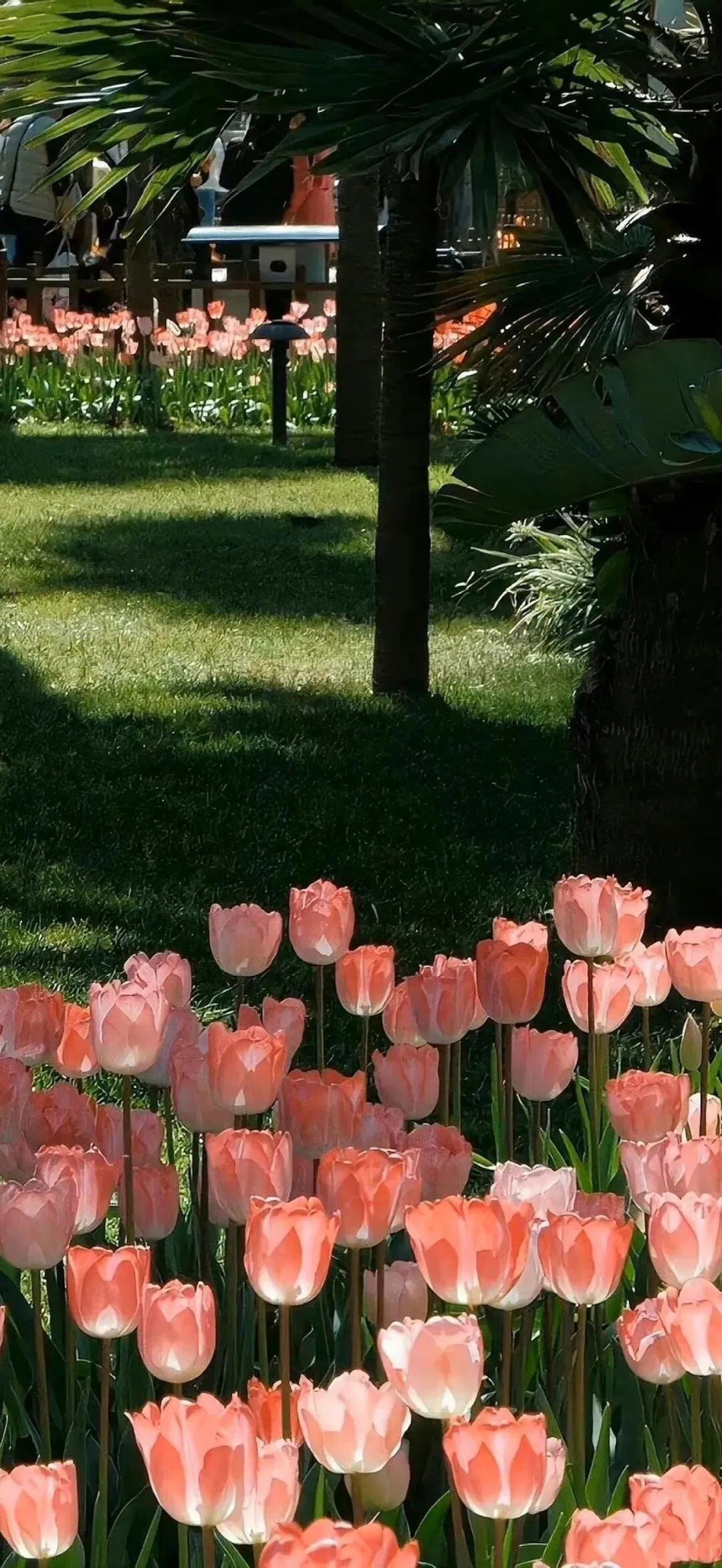 风景