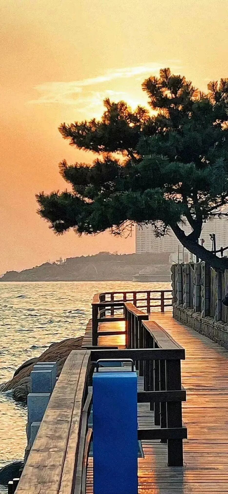 风景