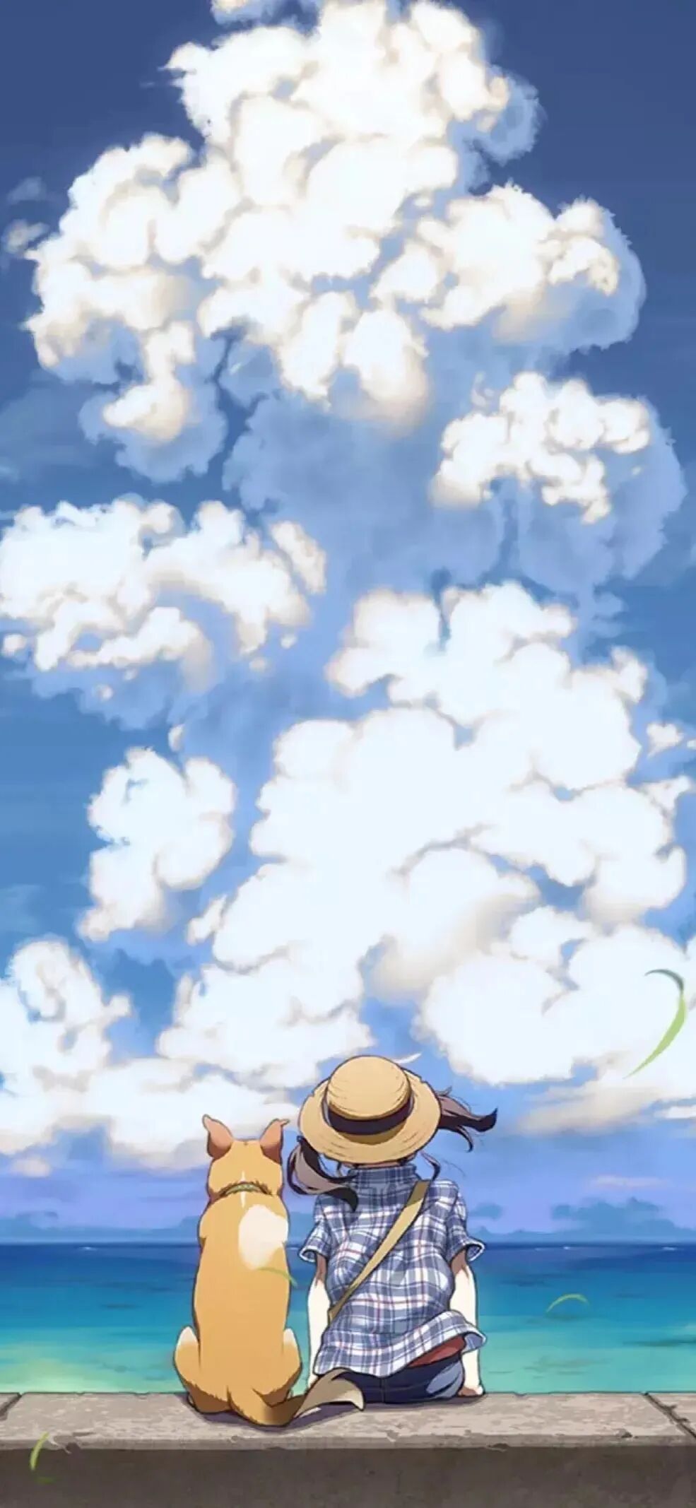 动漫