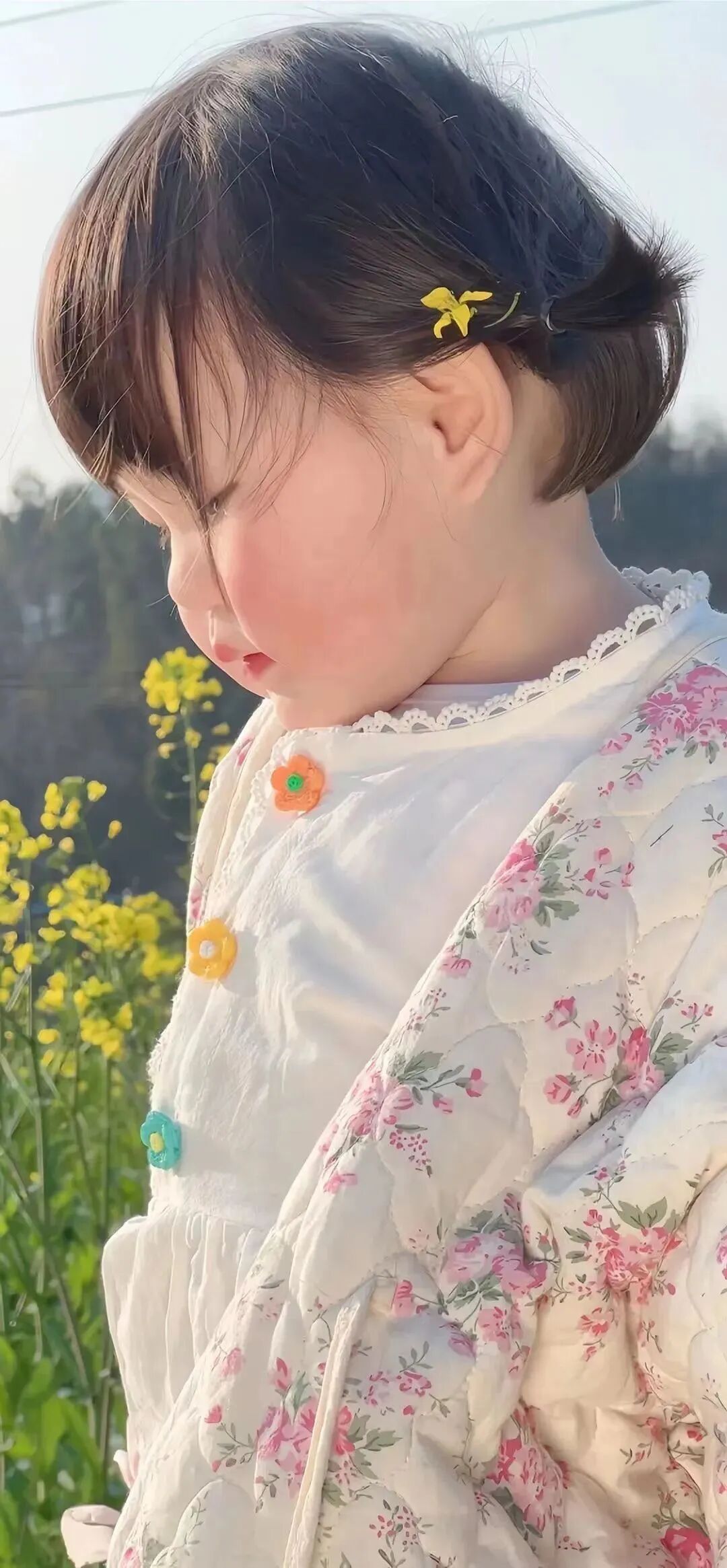 什锦