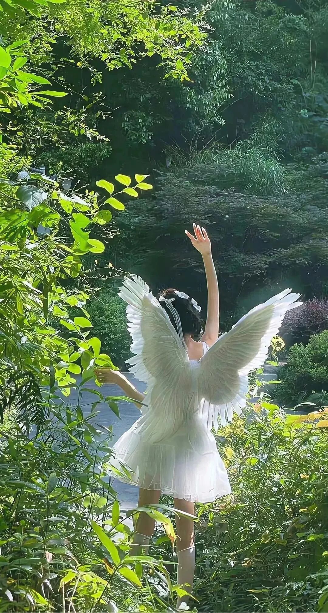 抖音热门
