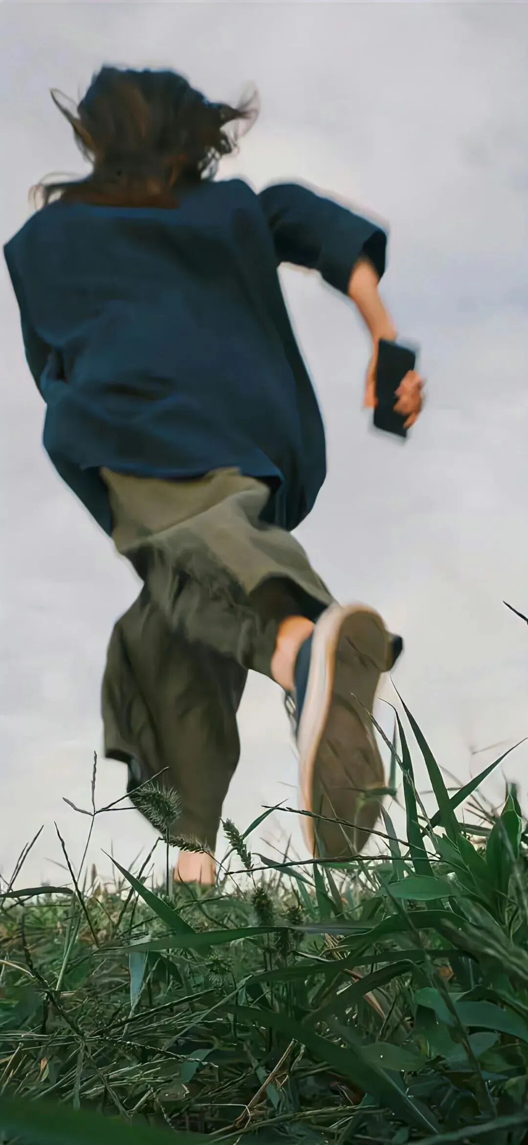 抖音热门