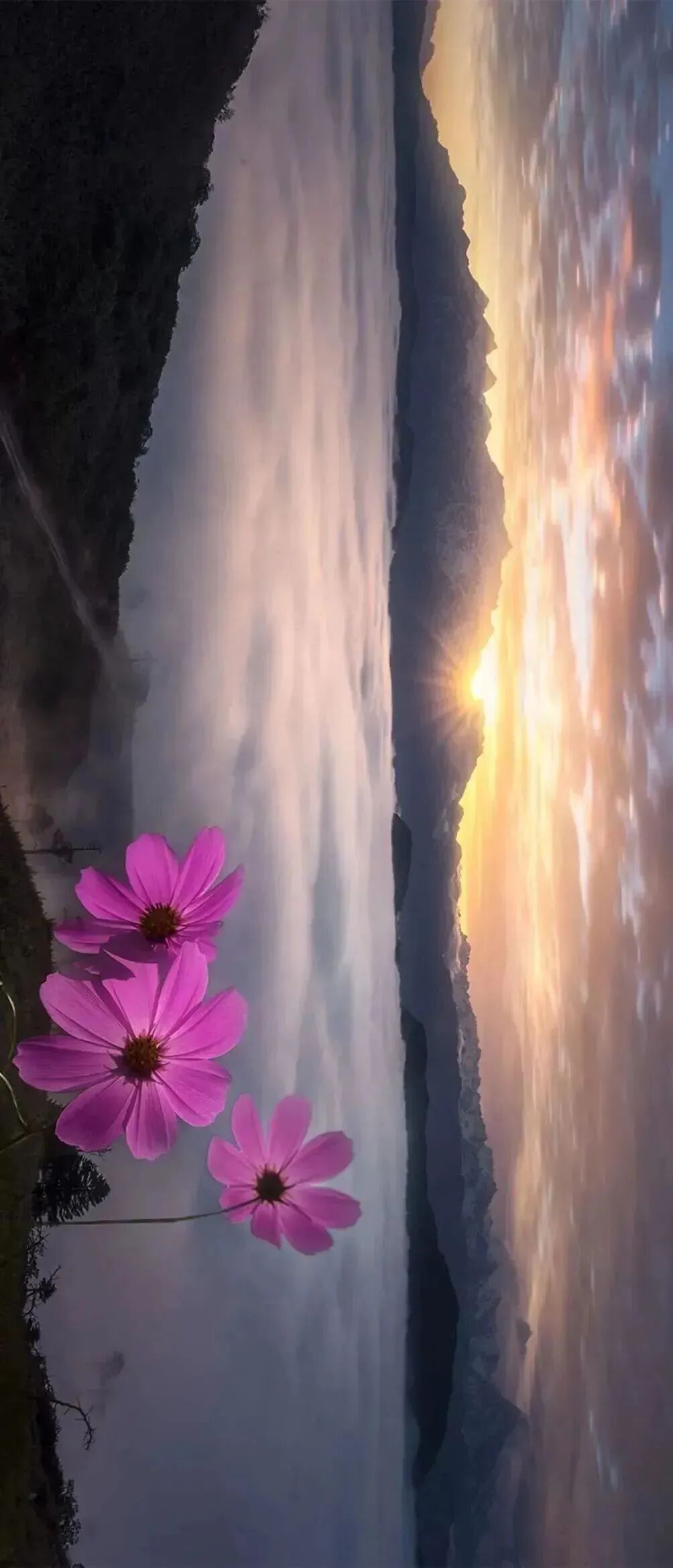 风景