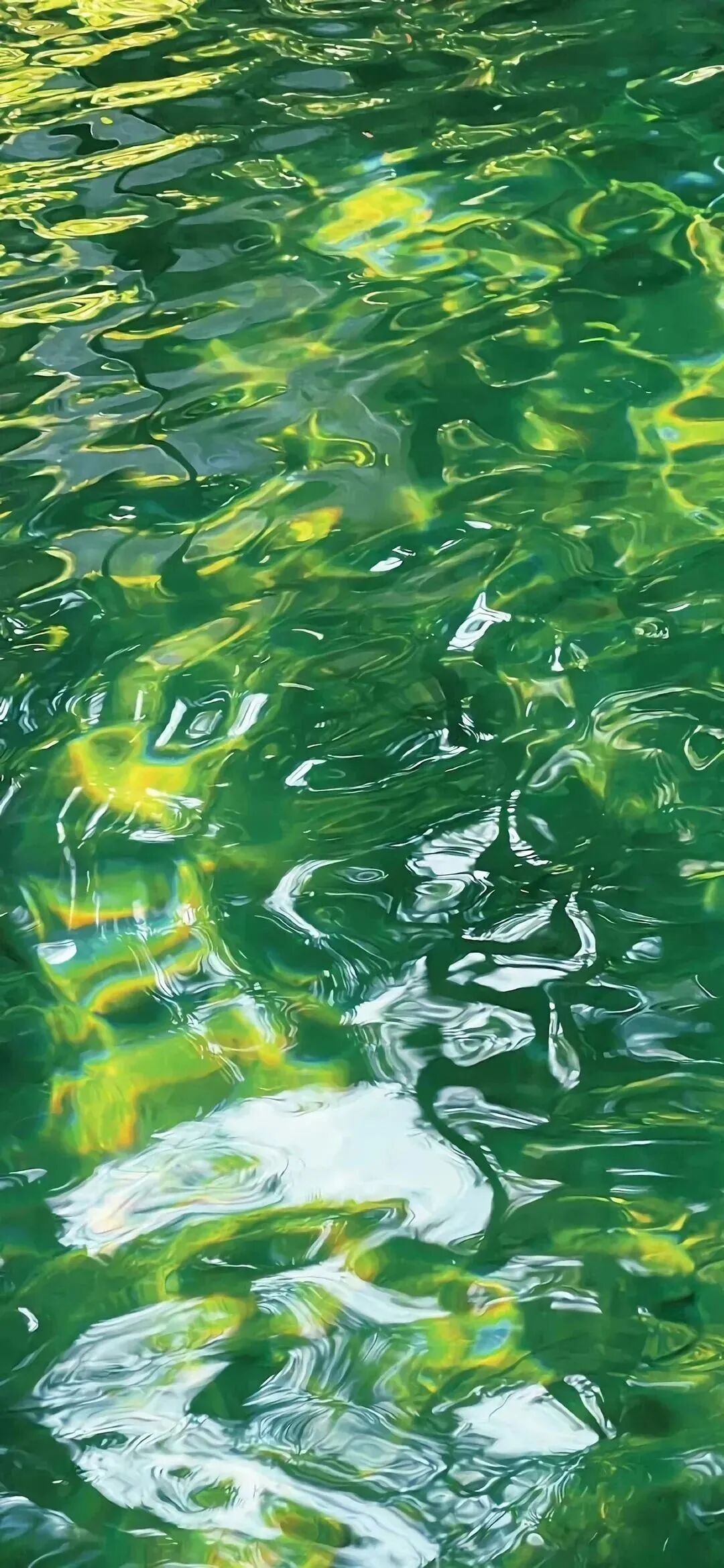 风景