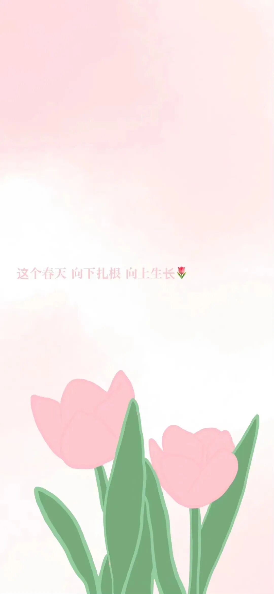 鲜花插画壁纸可爱壁纸套图