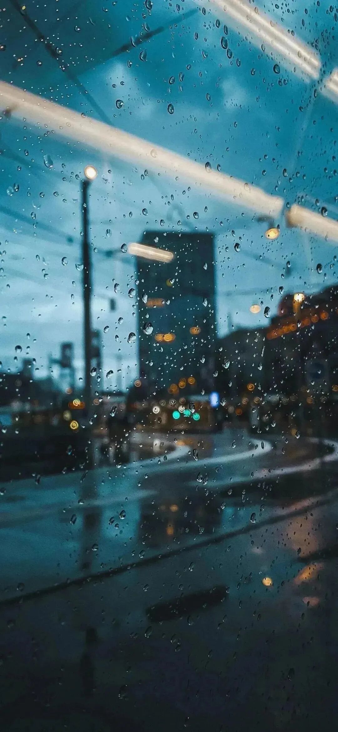 风景