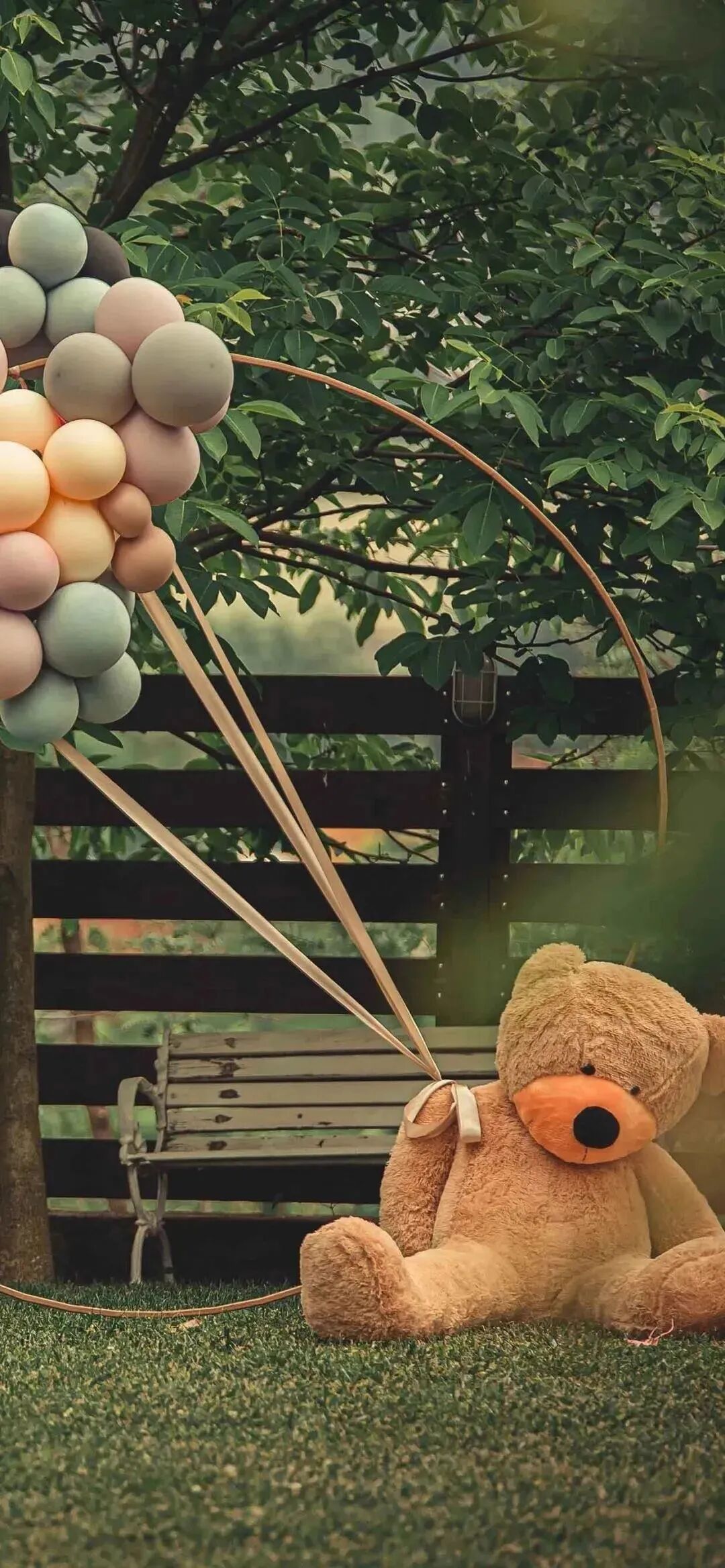 什锦 什锦 可爱 可爱壁纸 小熊 小熊壁纸