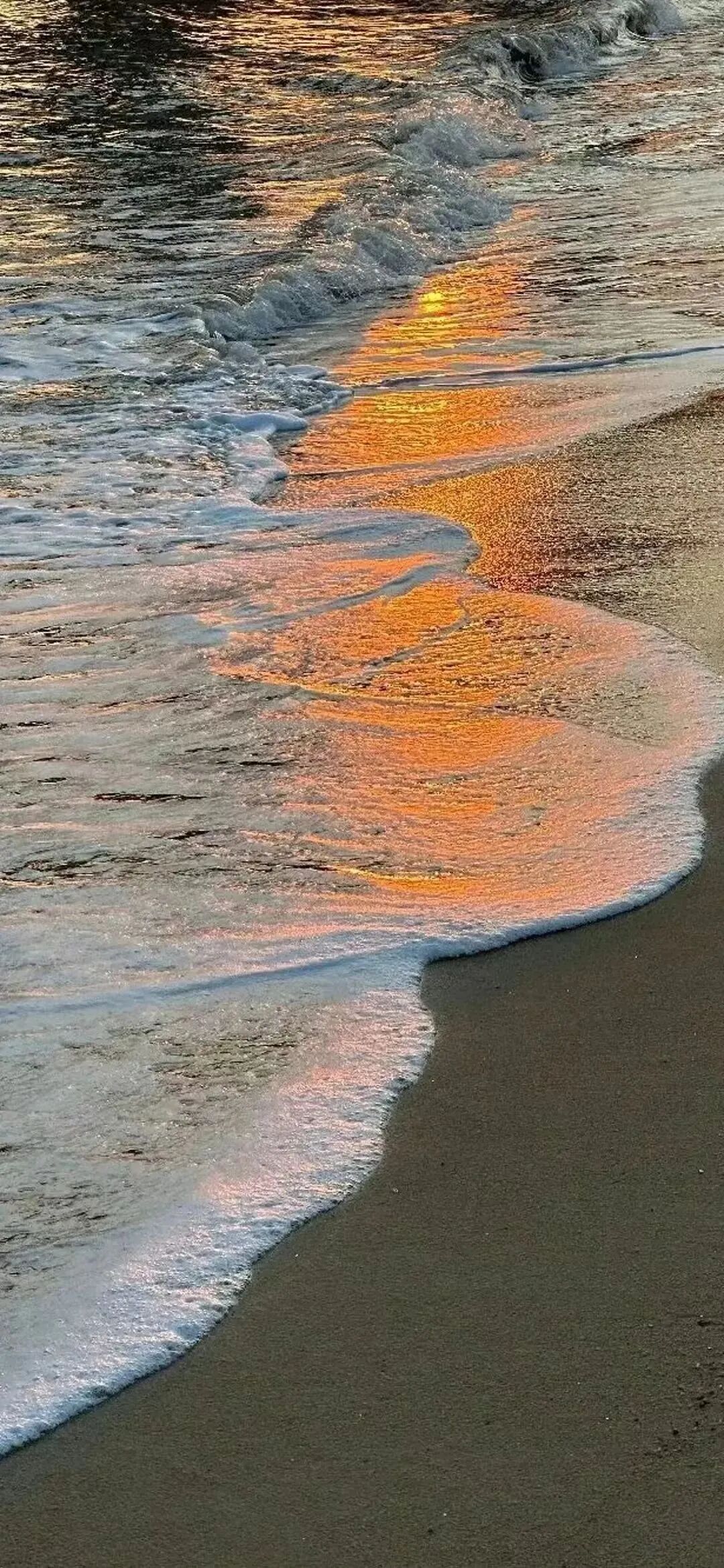 风景