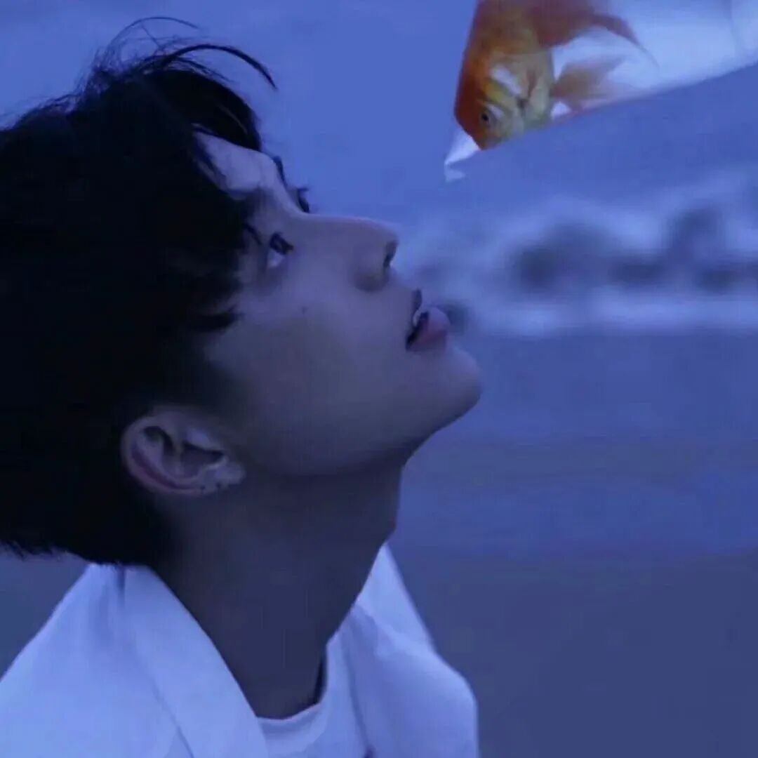 海边氛围感金鱼侧脸男生头像