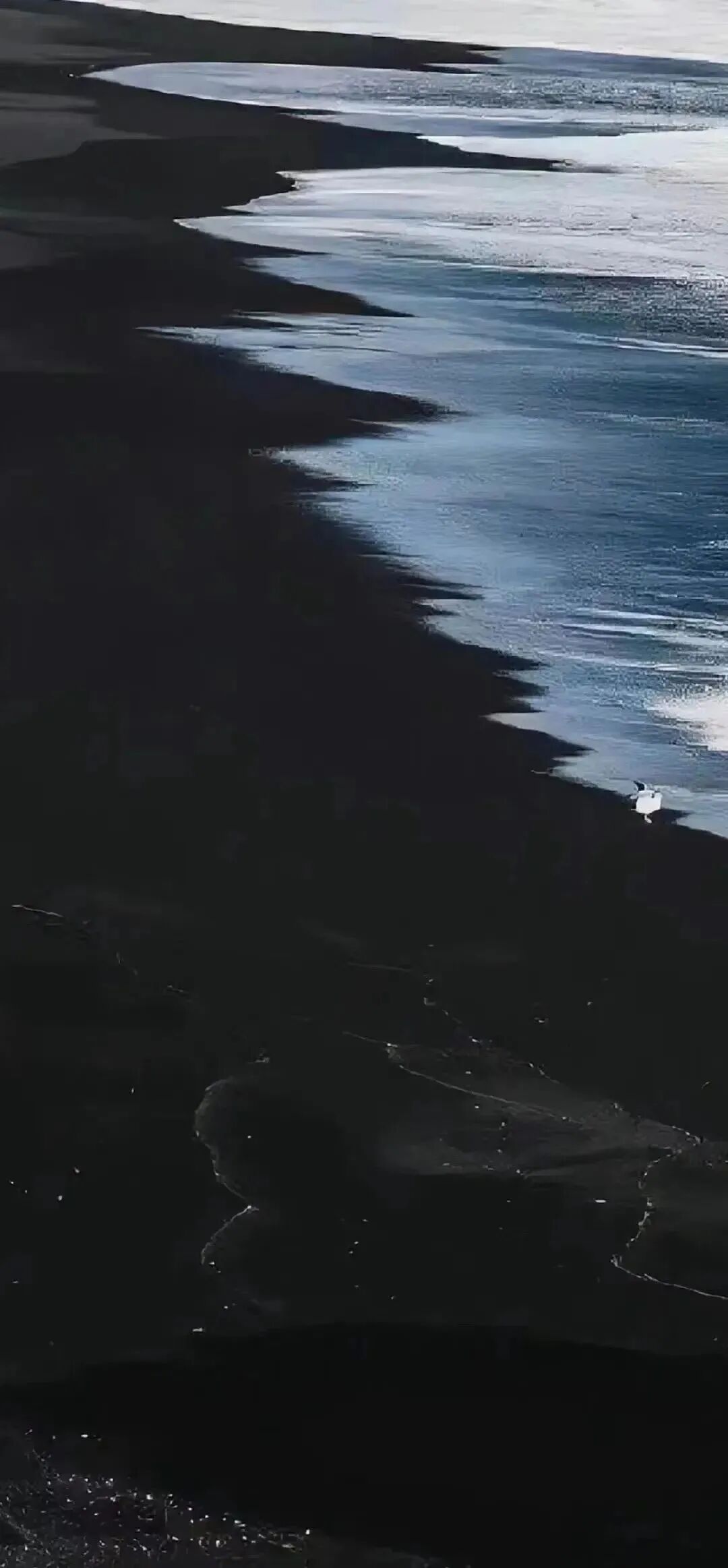 风景