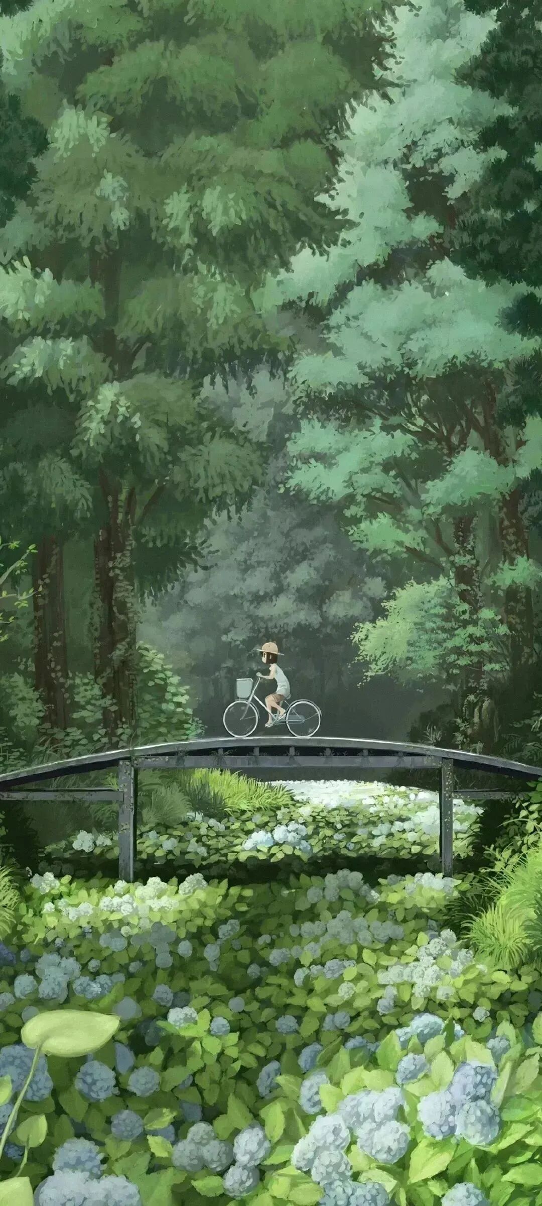 动漫