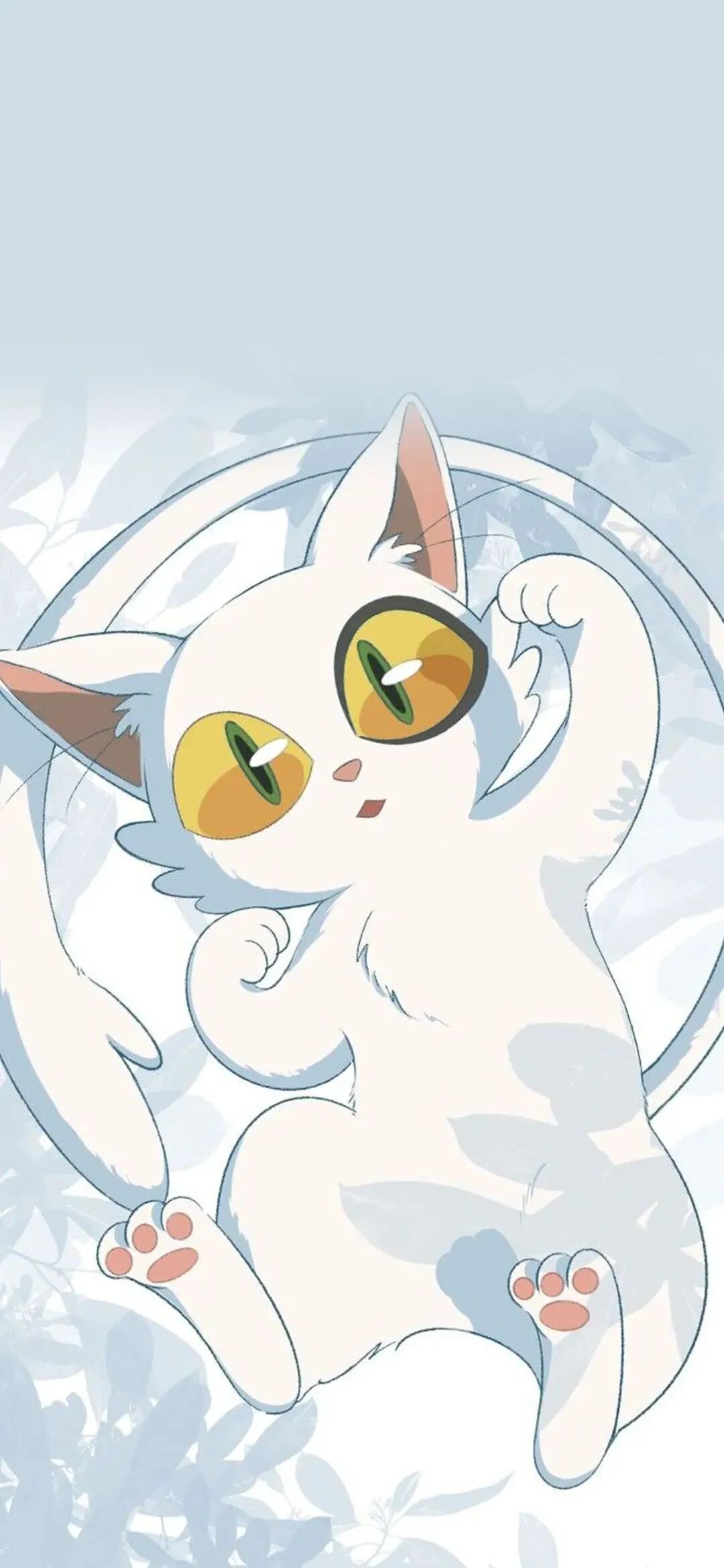 动漫
