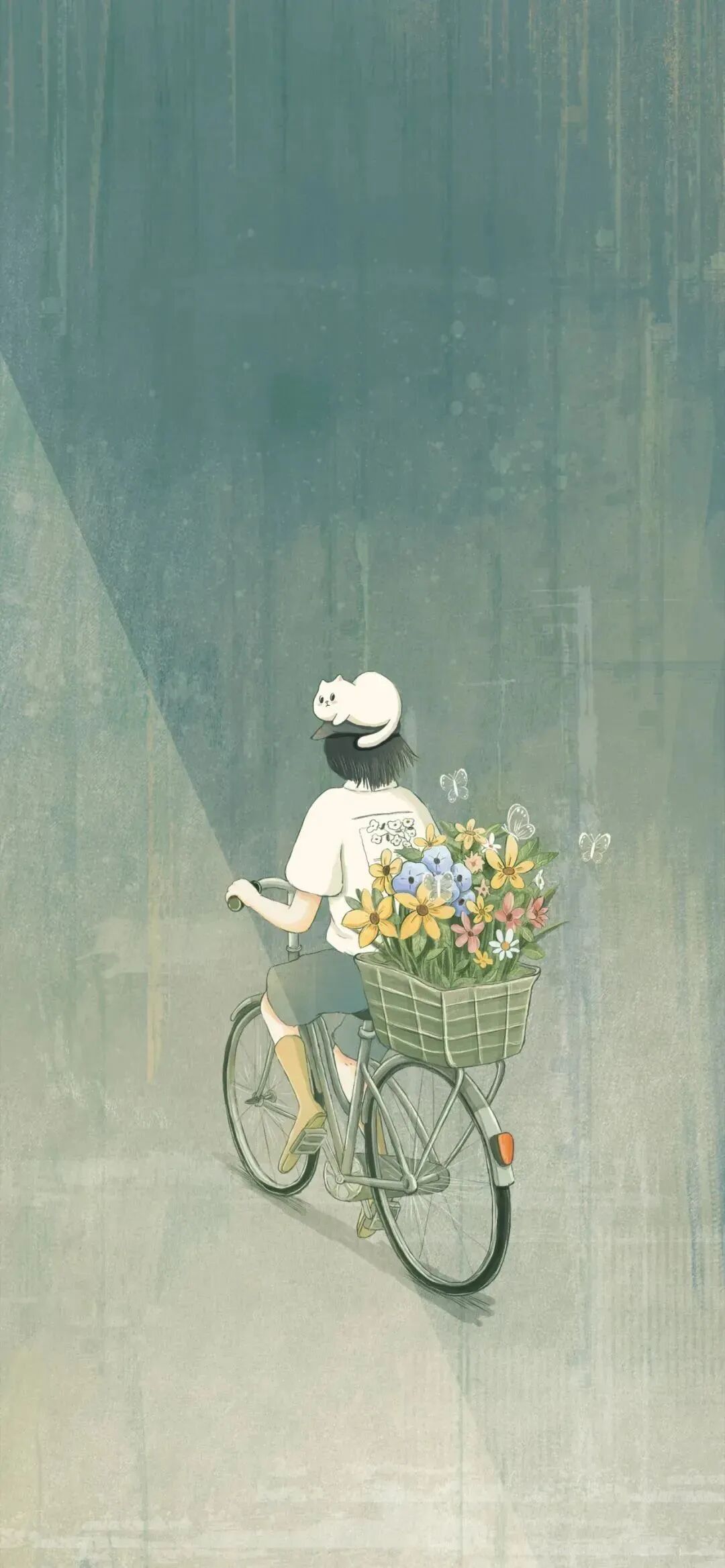动漫