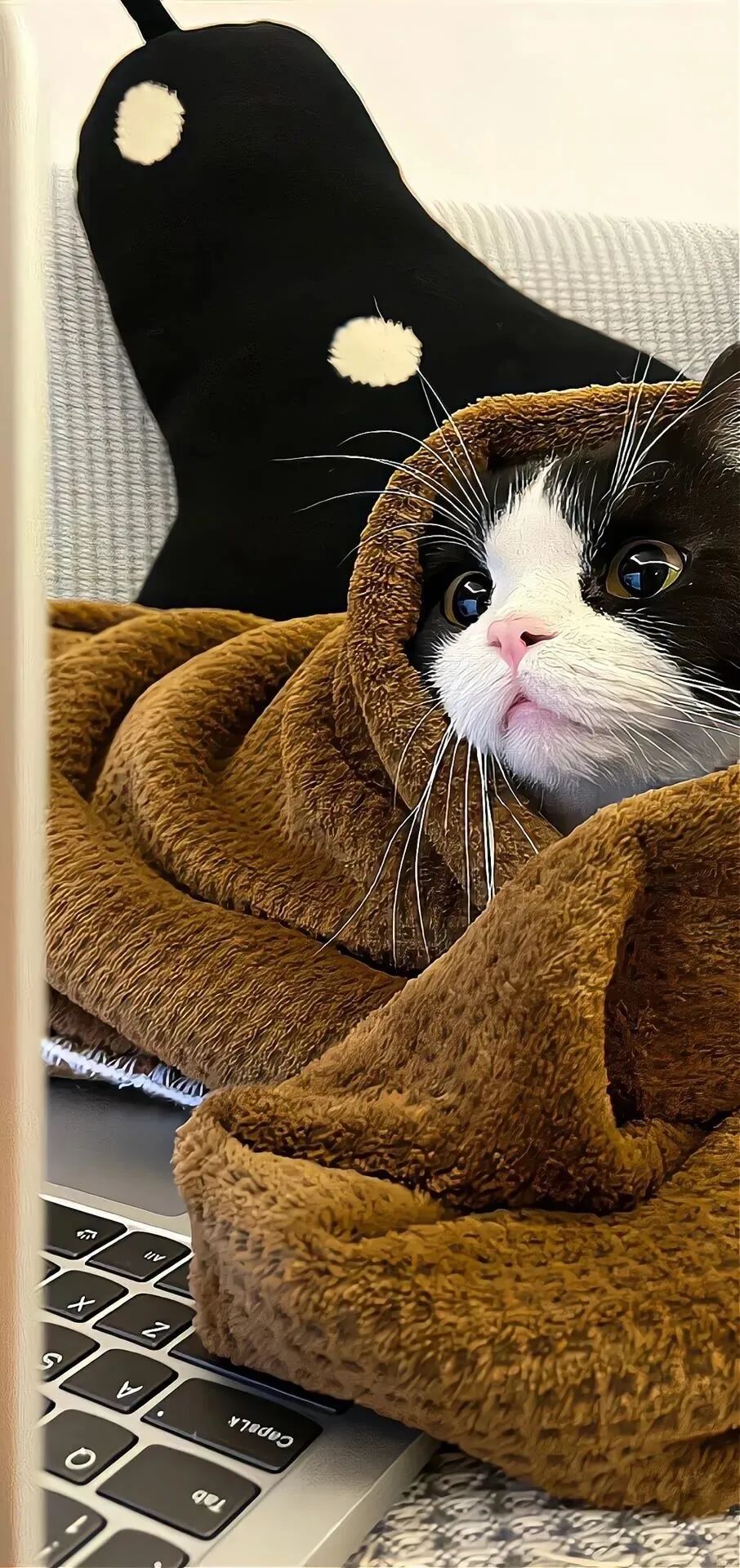什锦