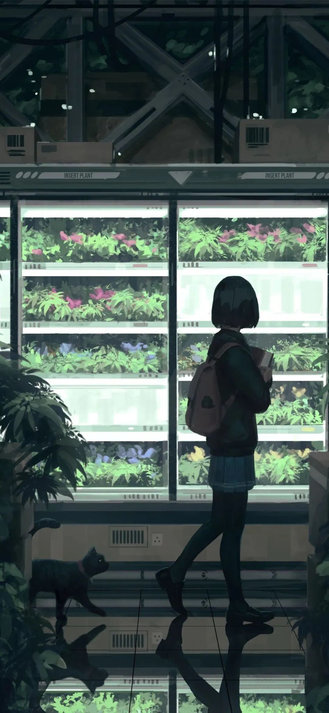 动漫