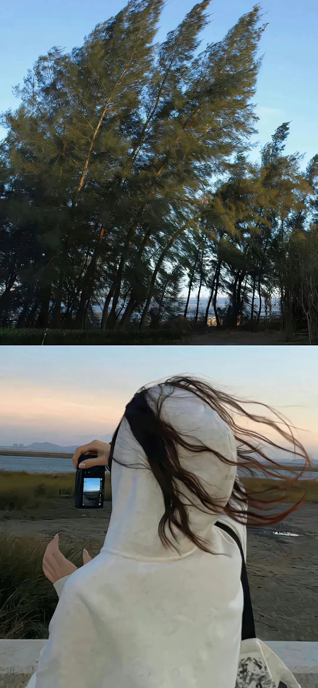 抖音热门
