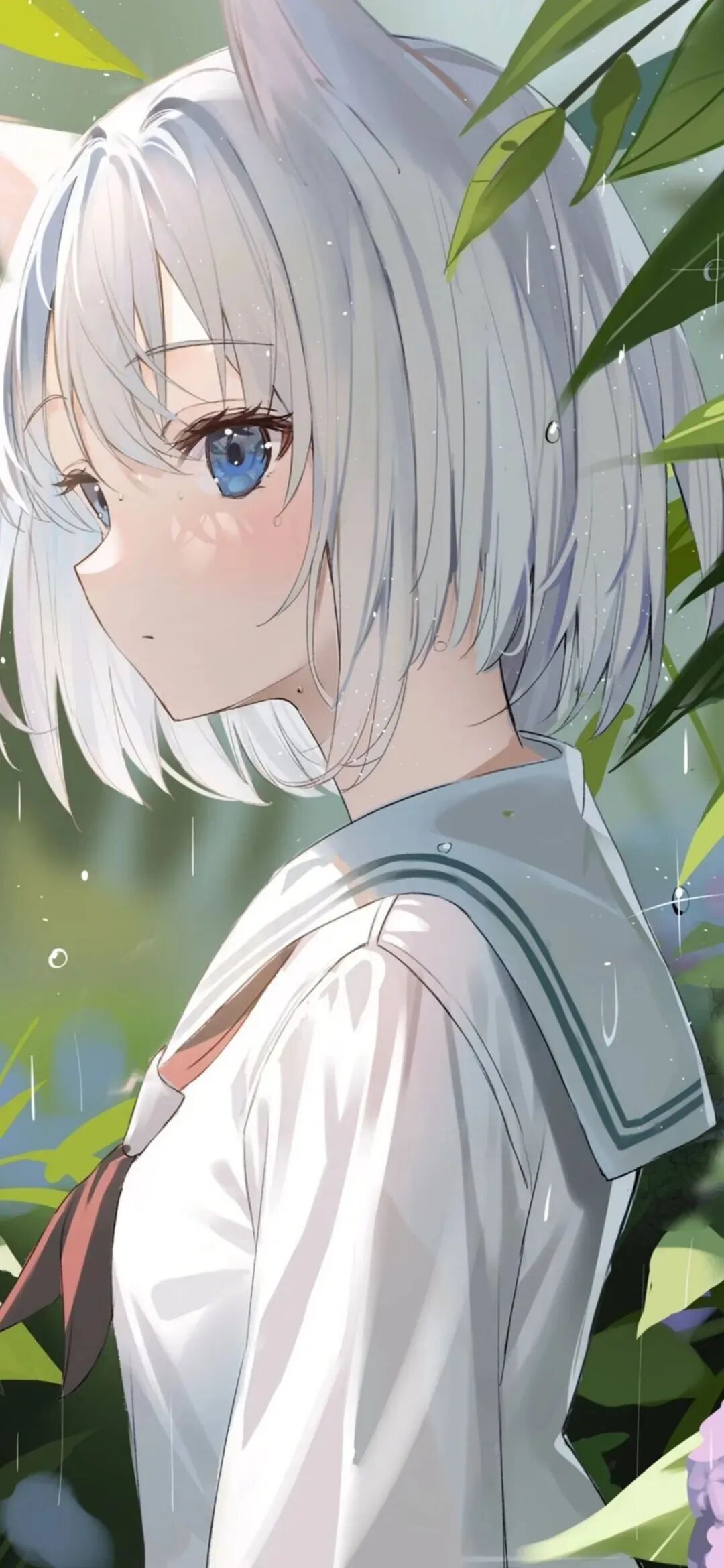 动漫