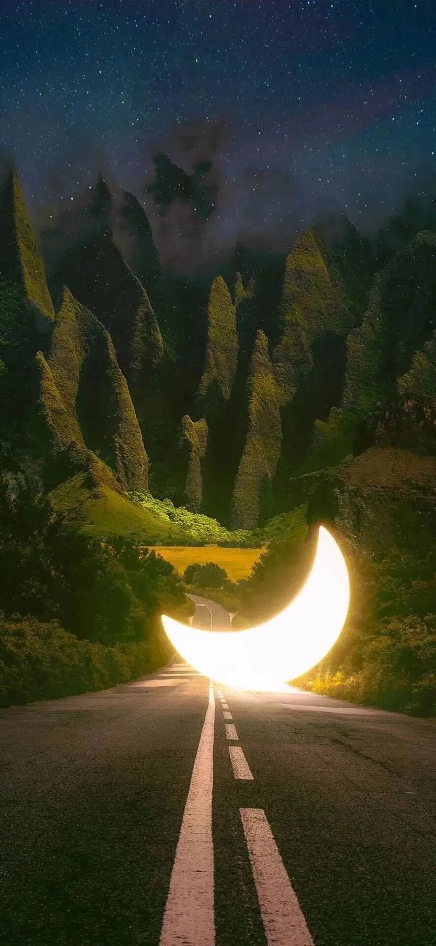 风景