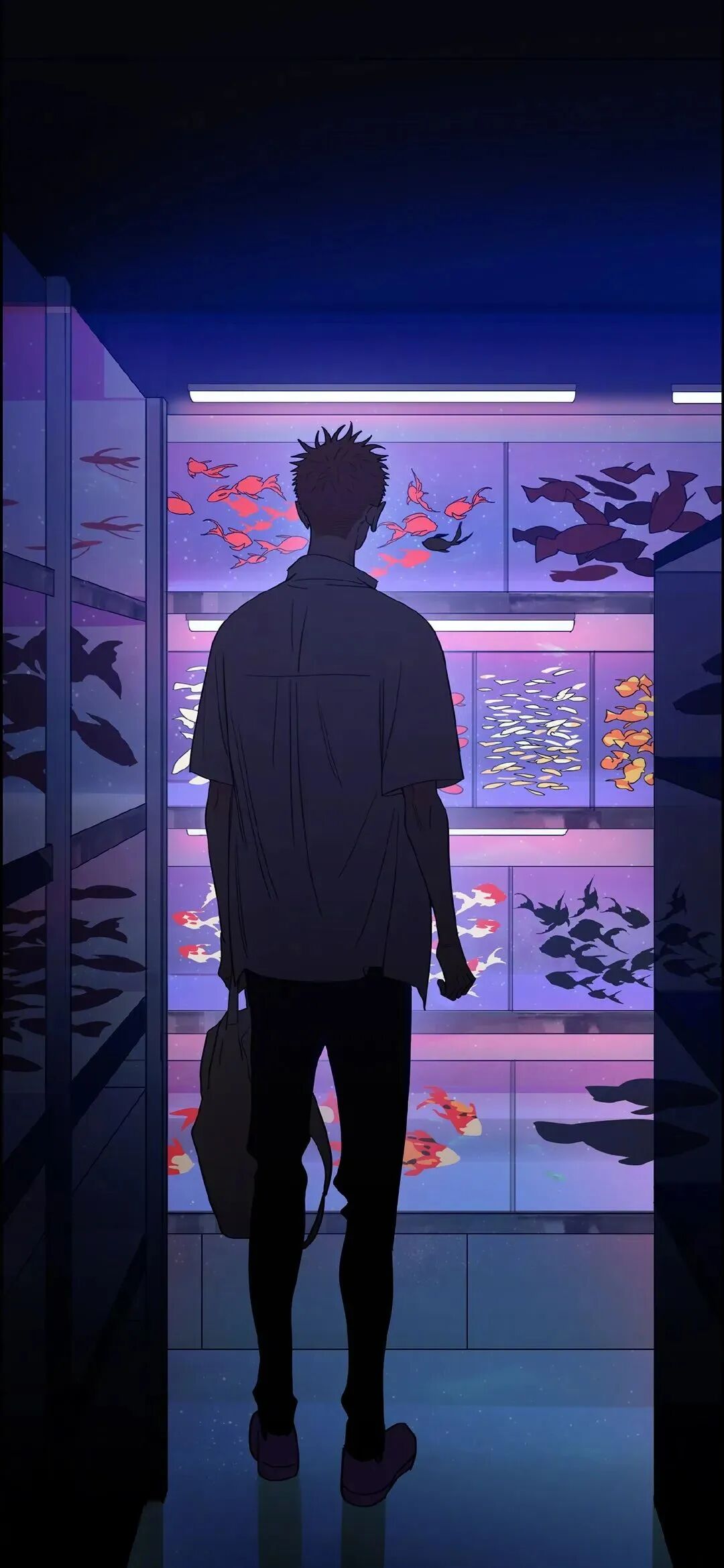 动漫
