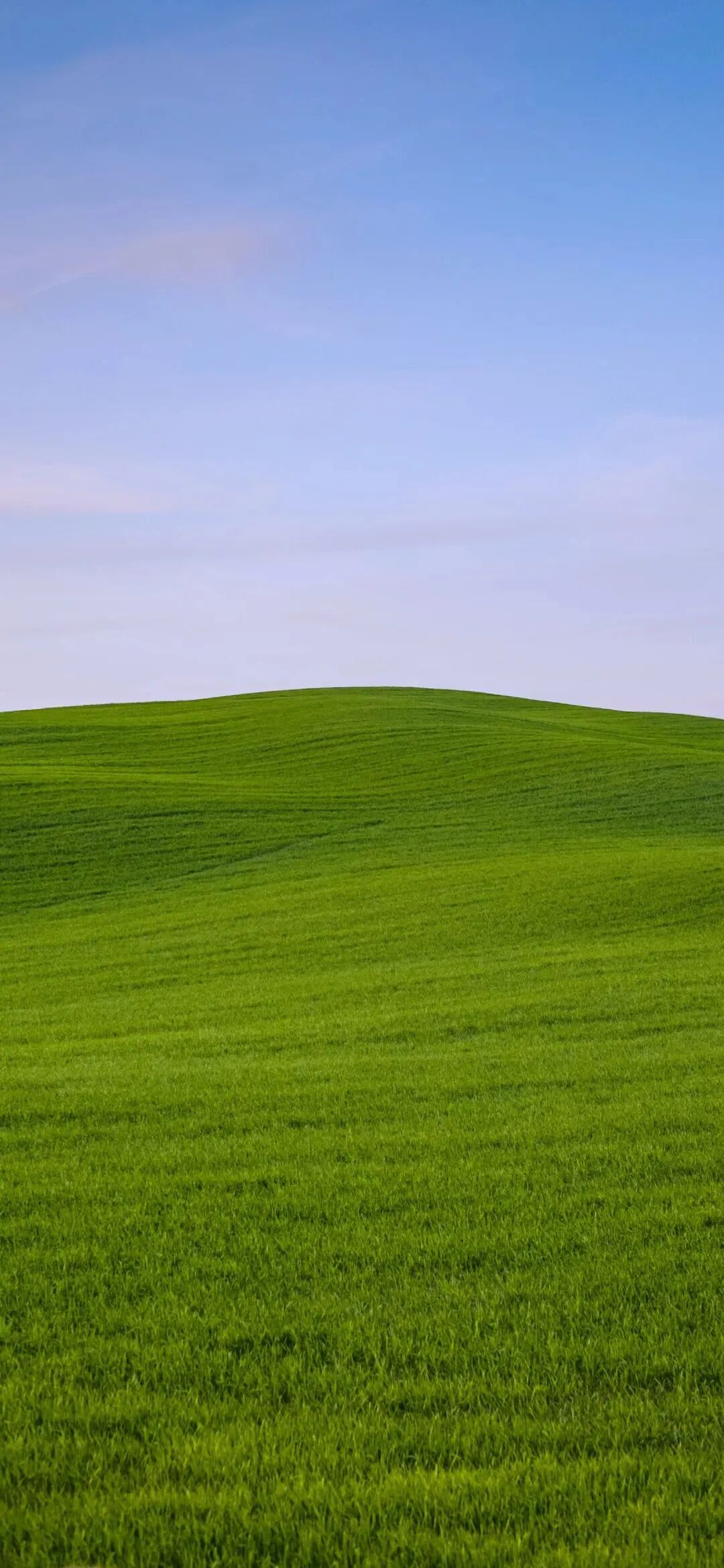 风景