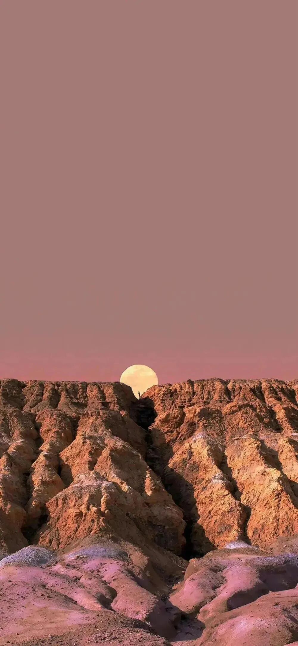 风景