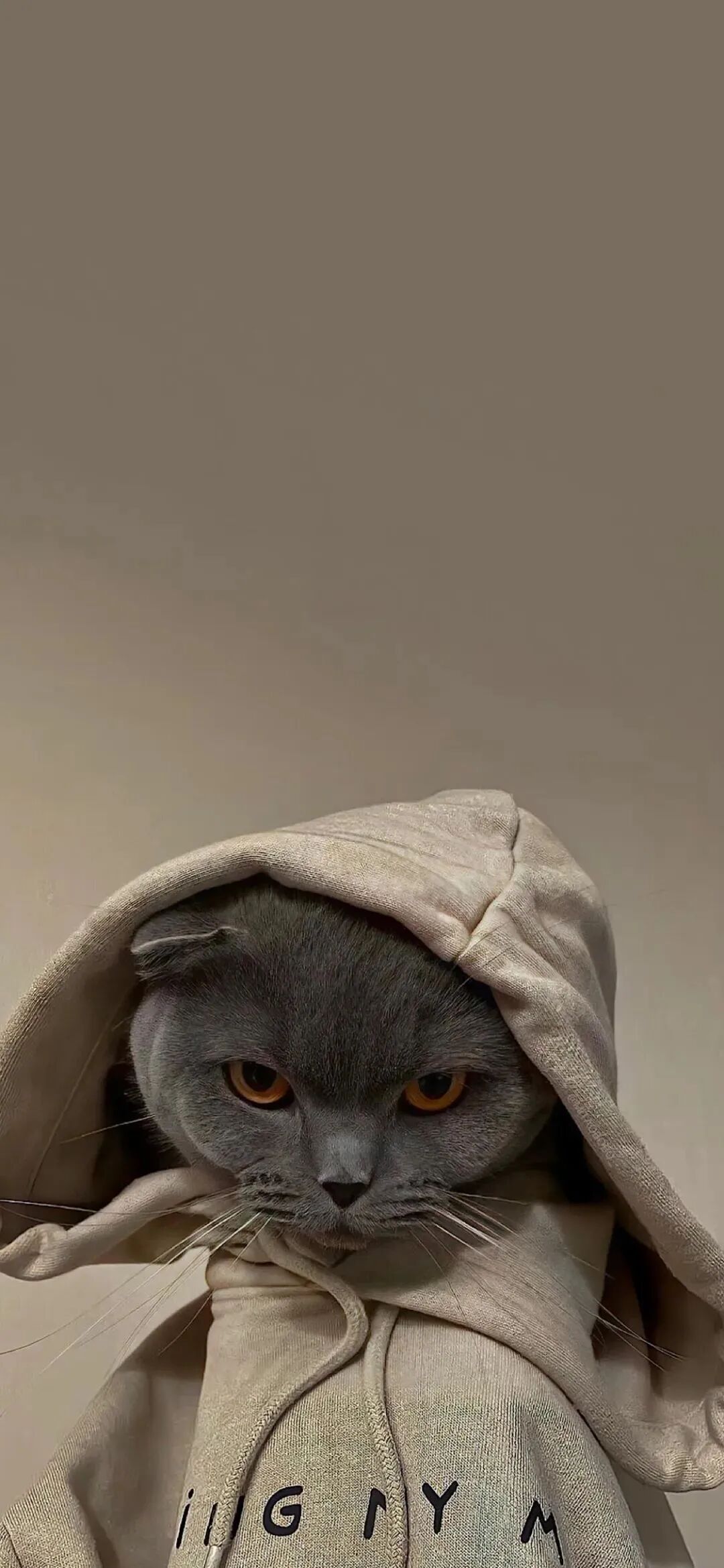 什锦