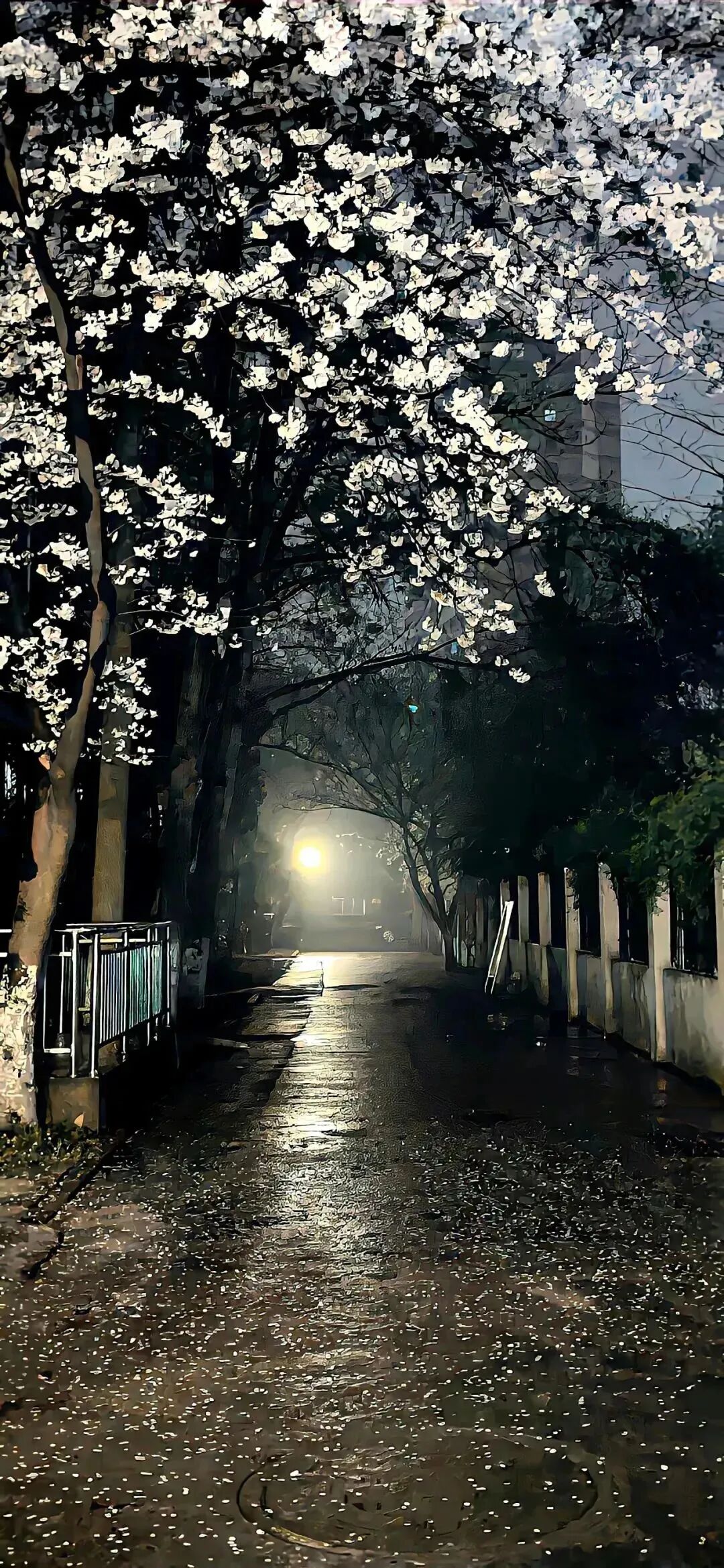 风景